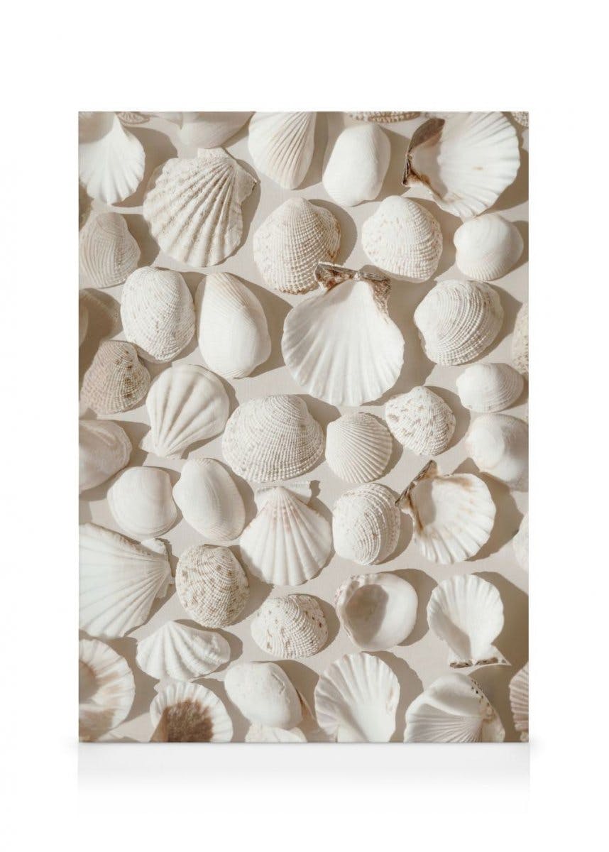 Canvas Prints - Beige Shells Canvas print (70x100 cm - Oak Frame) - Poster Store