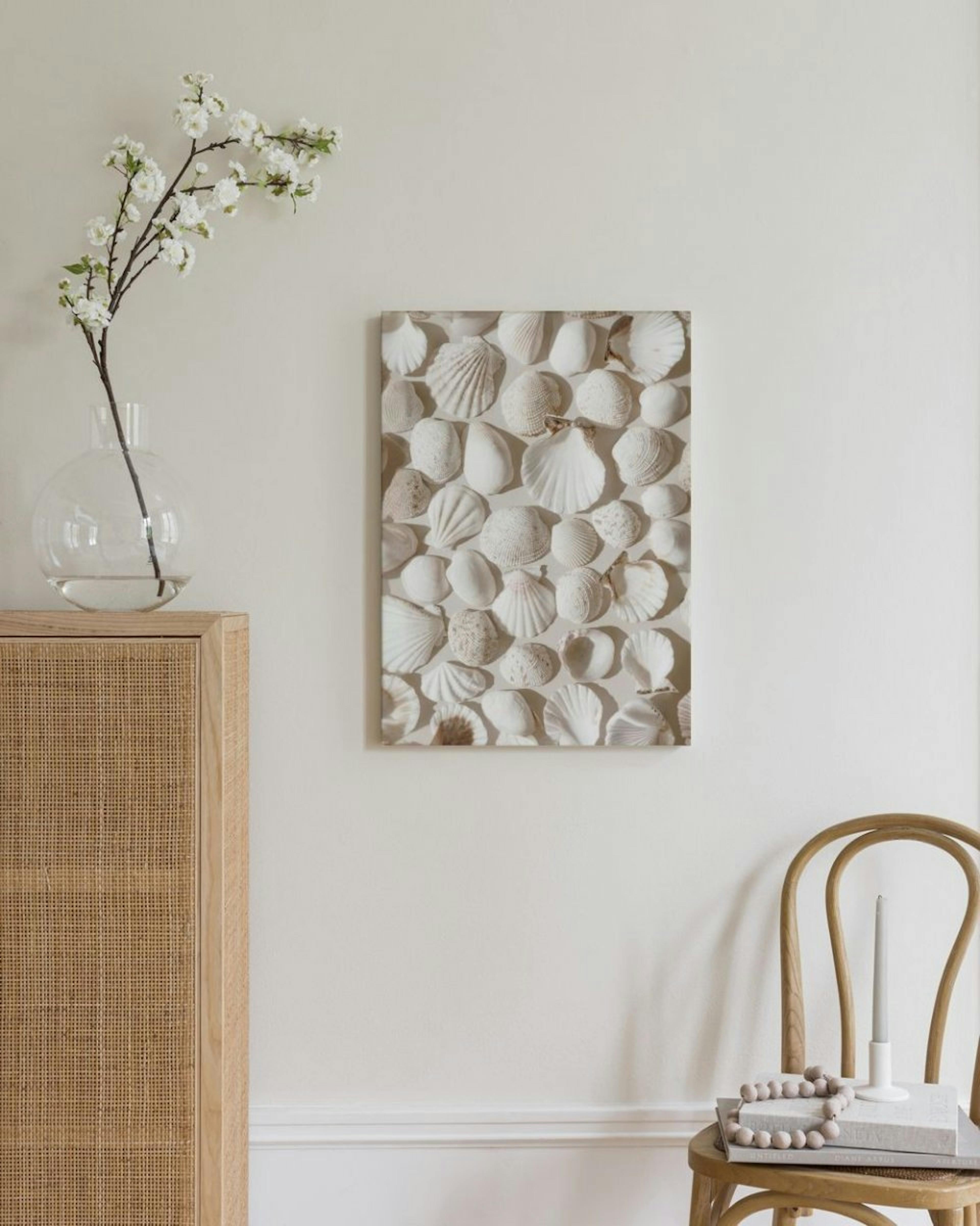 Beige Shells Canvas thumbnail