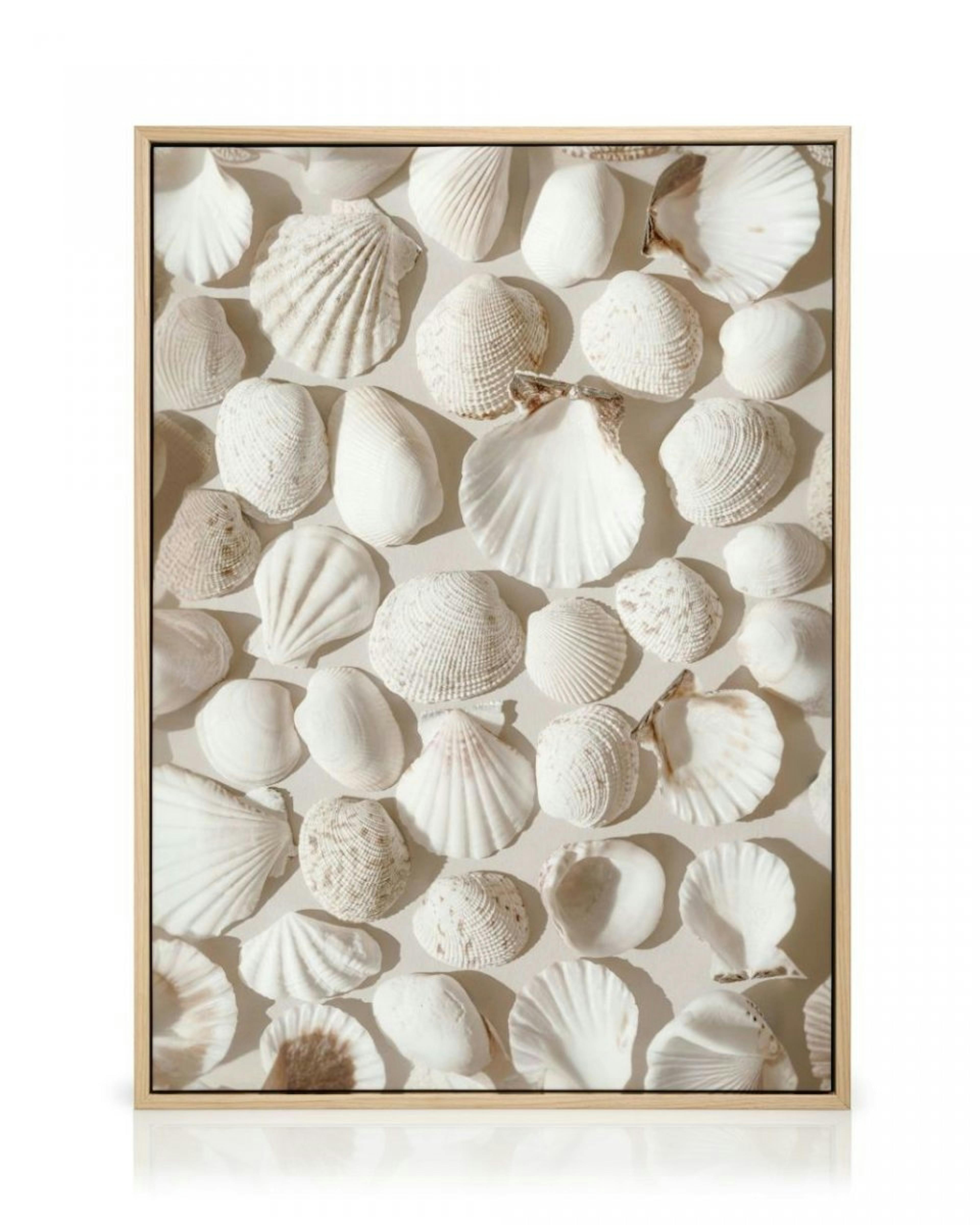 Beige Shells Canvas print thumbnail