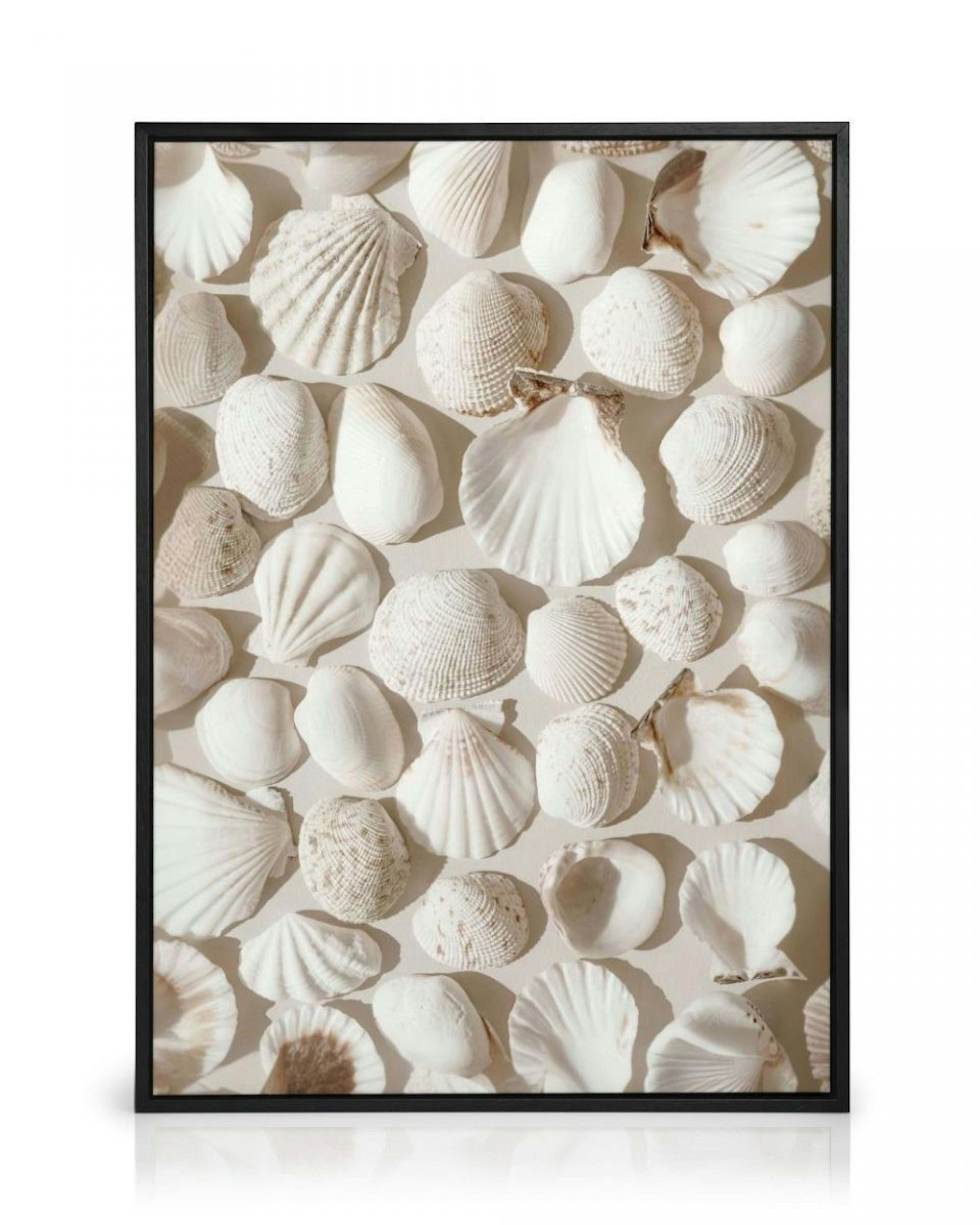 Beige Shells Canvas thumbnail