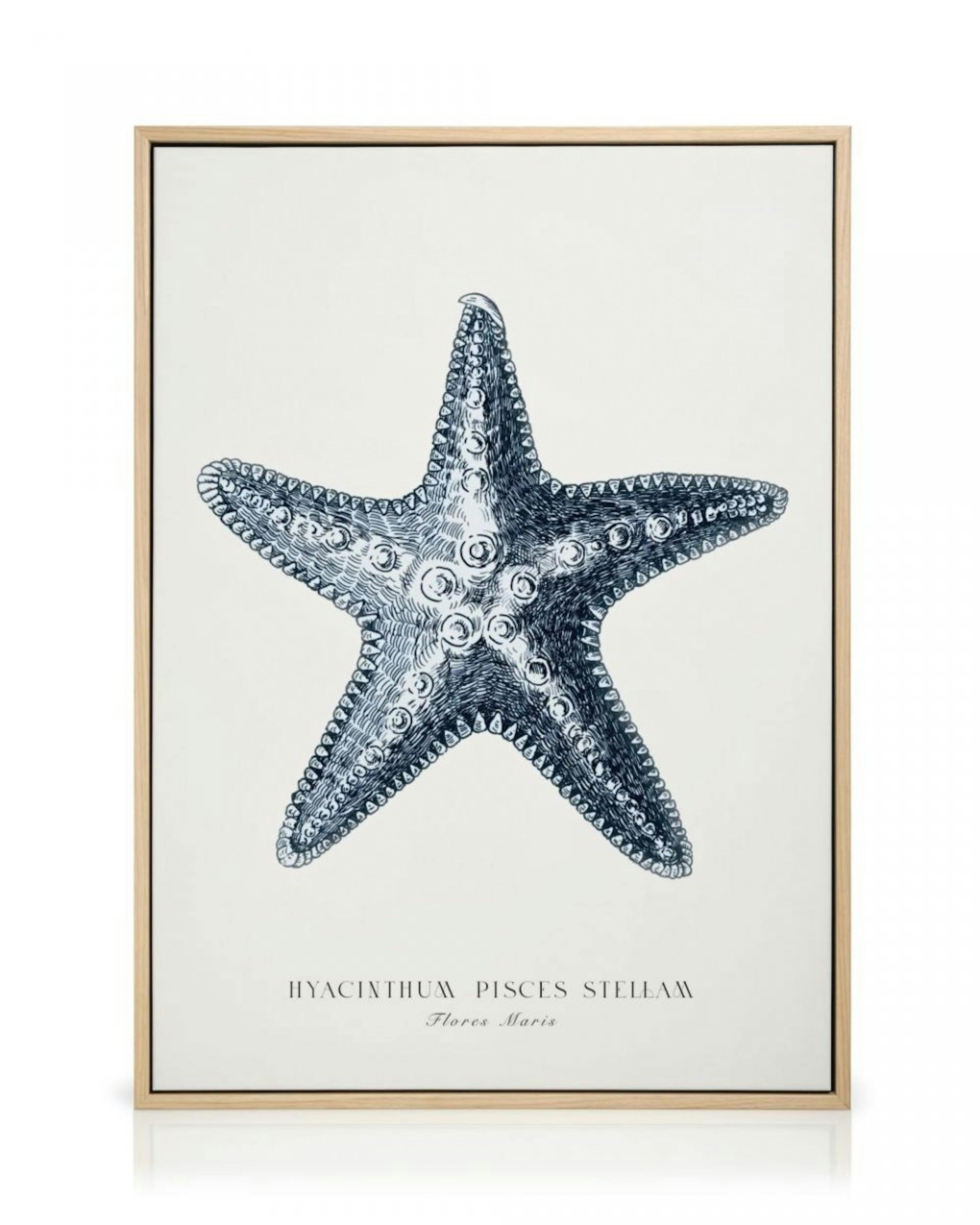 Blue Starfish Stampa su tela thumbnail