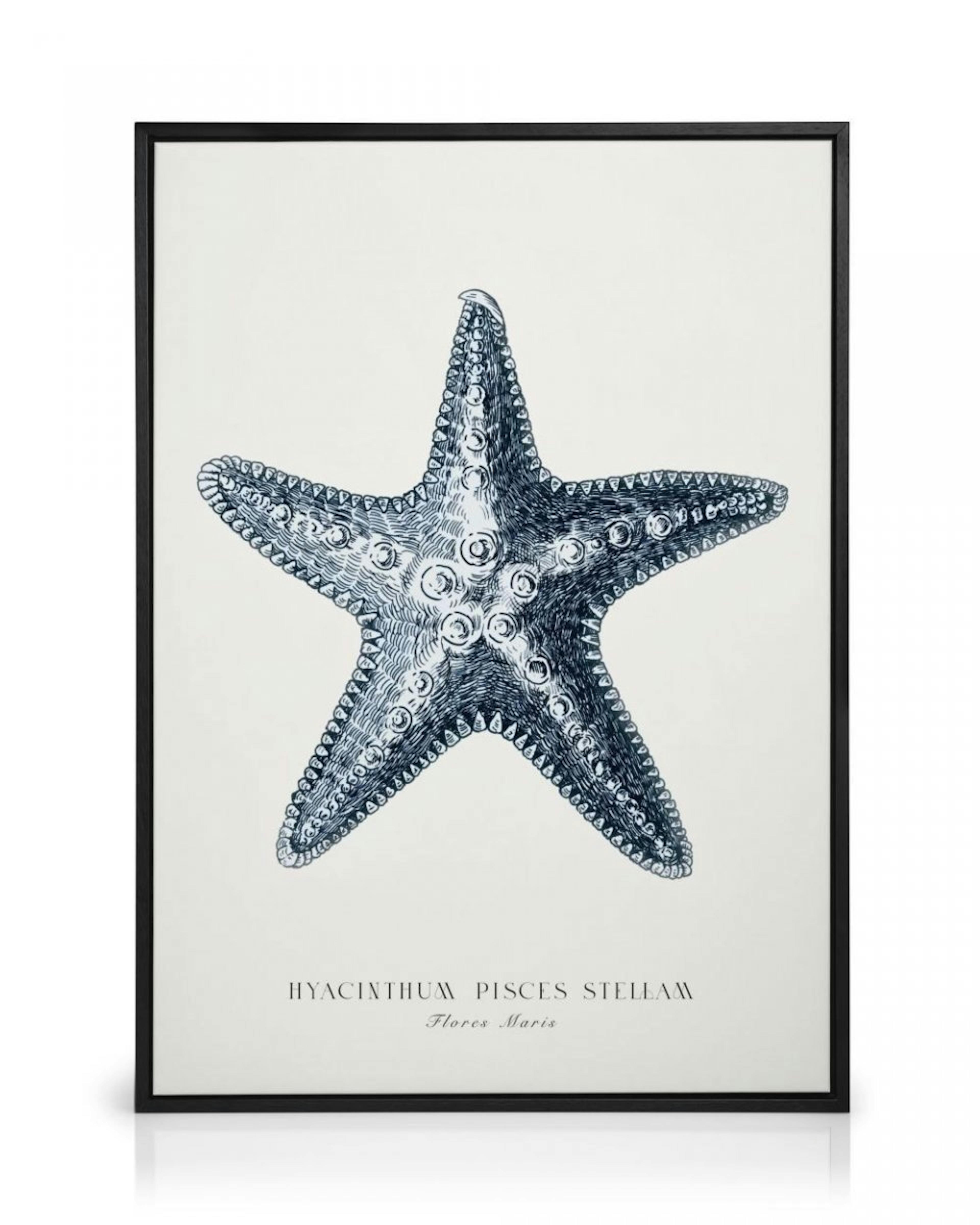 Blue Starfish Canvas print thumbnail