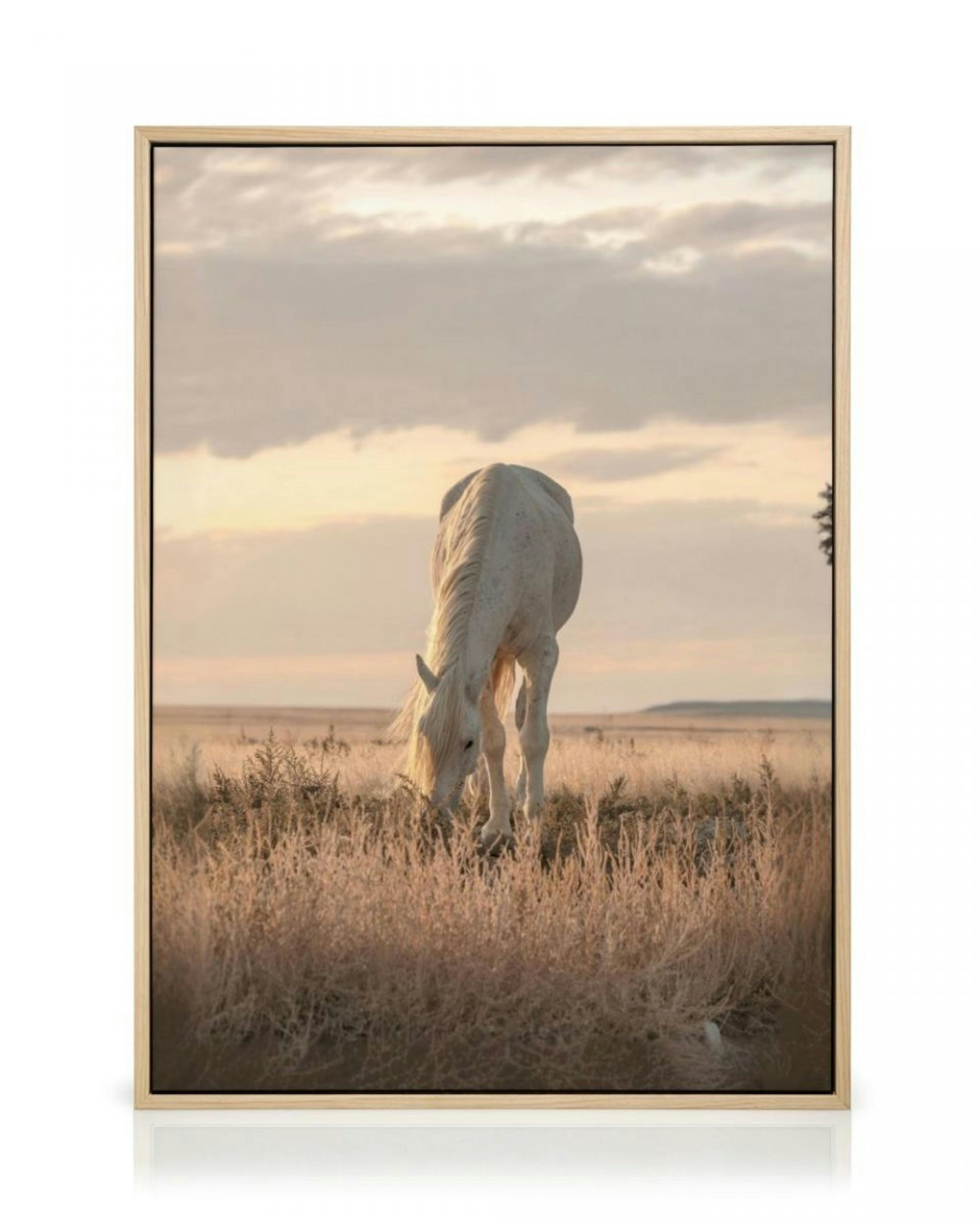 Paard in Zonsondergang Canvas thumbnail