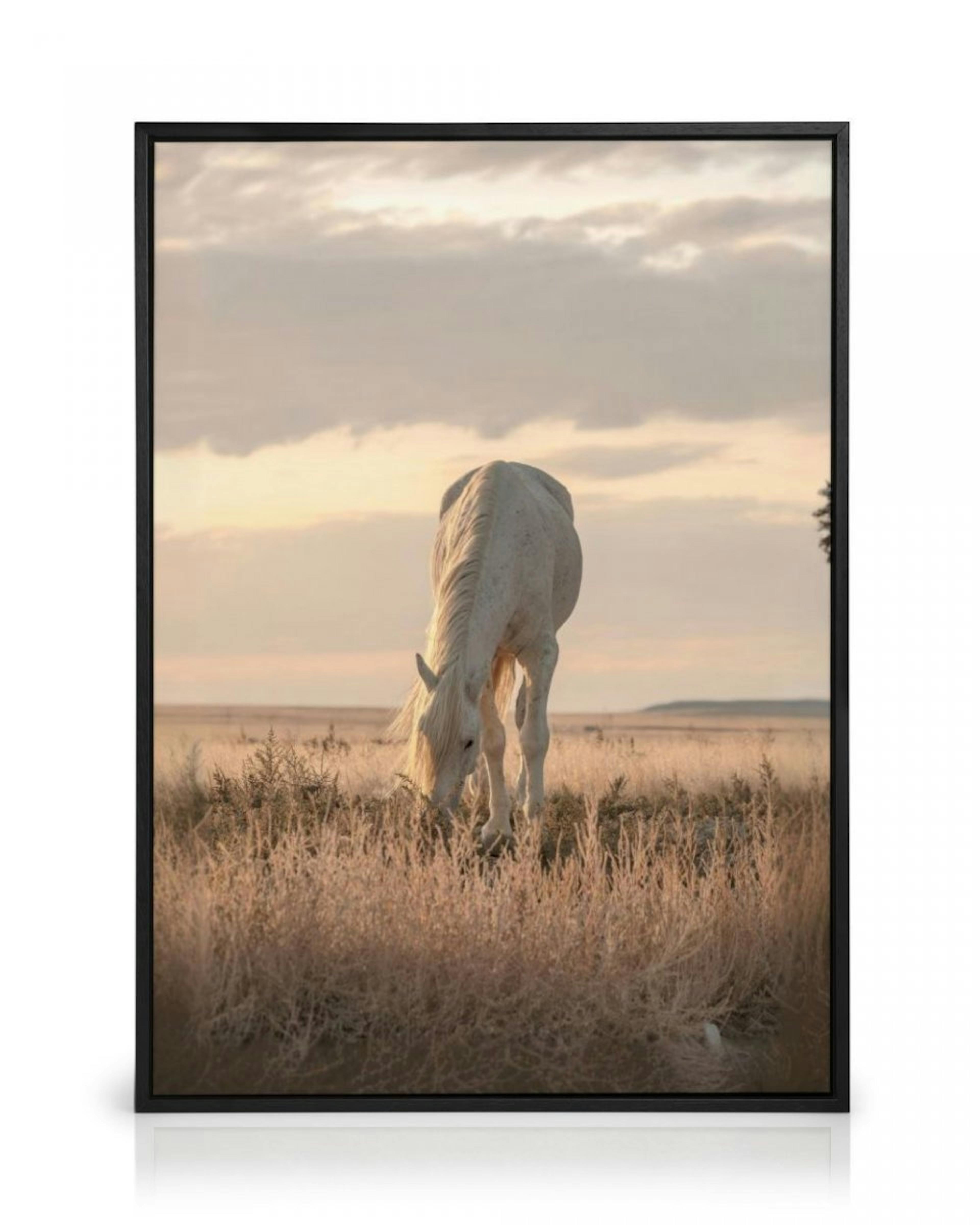 Paard in Zonsondergang Canvas thumbnail