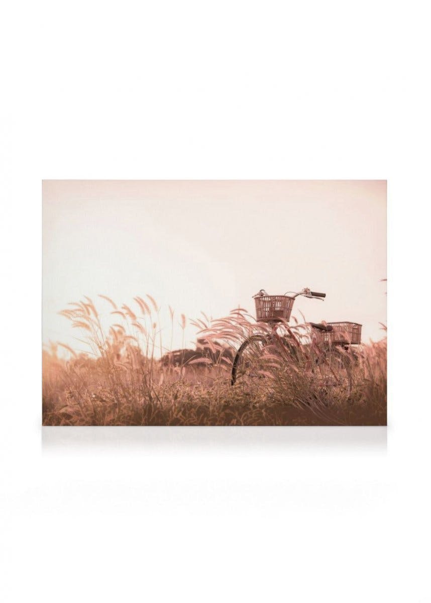 Toile Vélo au Coucher du Soleil (70x100 cm) - Poster Store