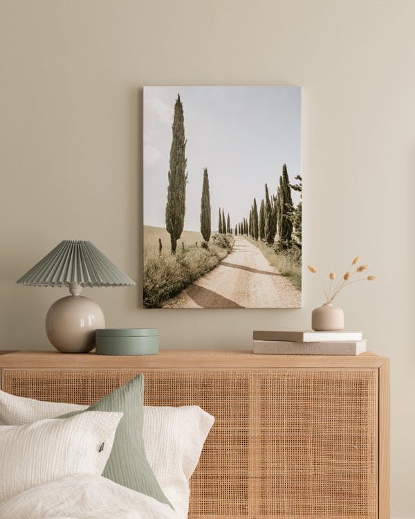 Canvas Prints - Cypress Tree Alley Canvas print (50x70 cm) - Poster Store