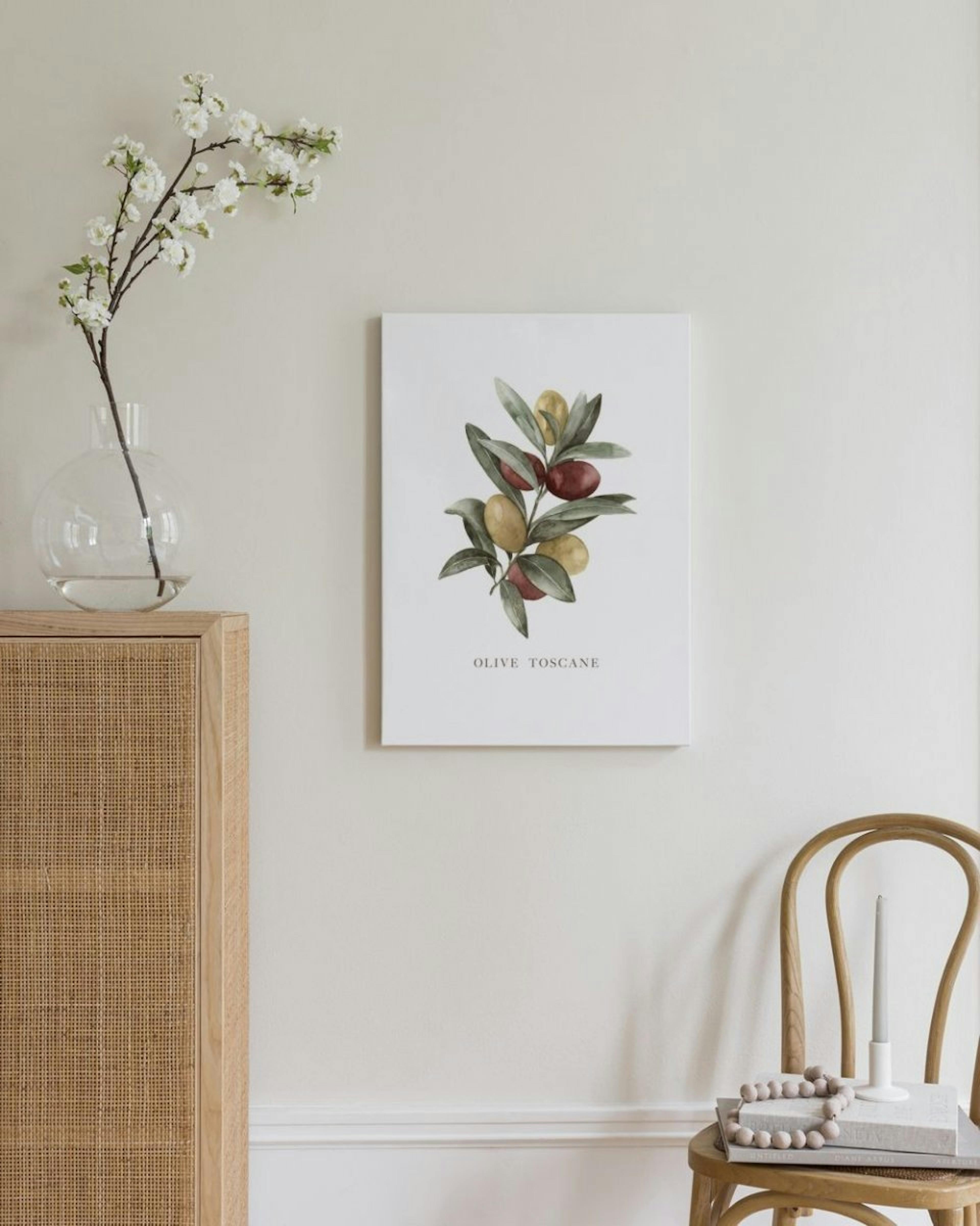 Olive Toscane Canvas Print thumbnail