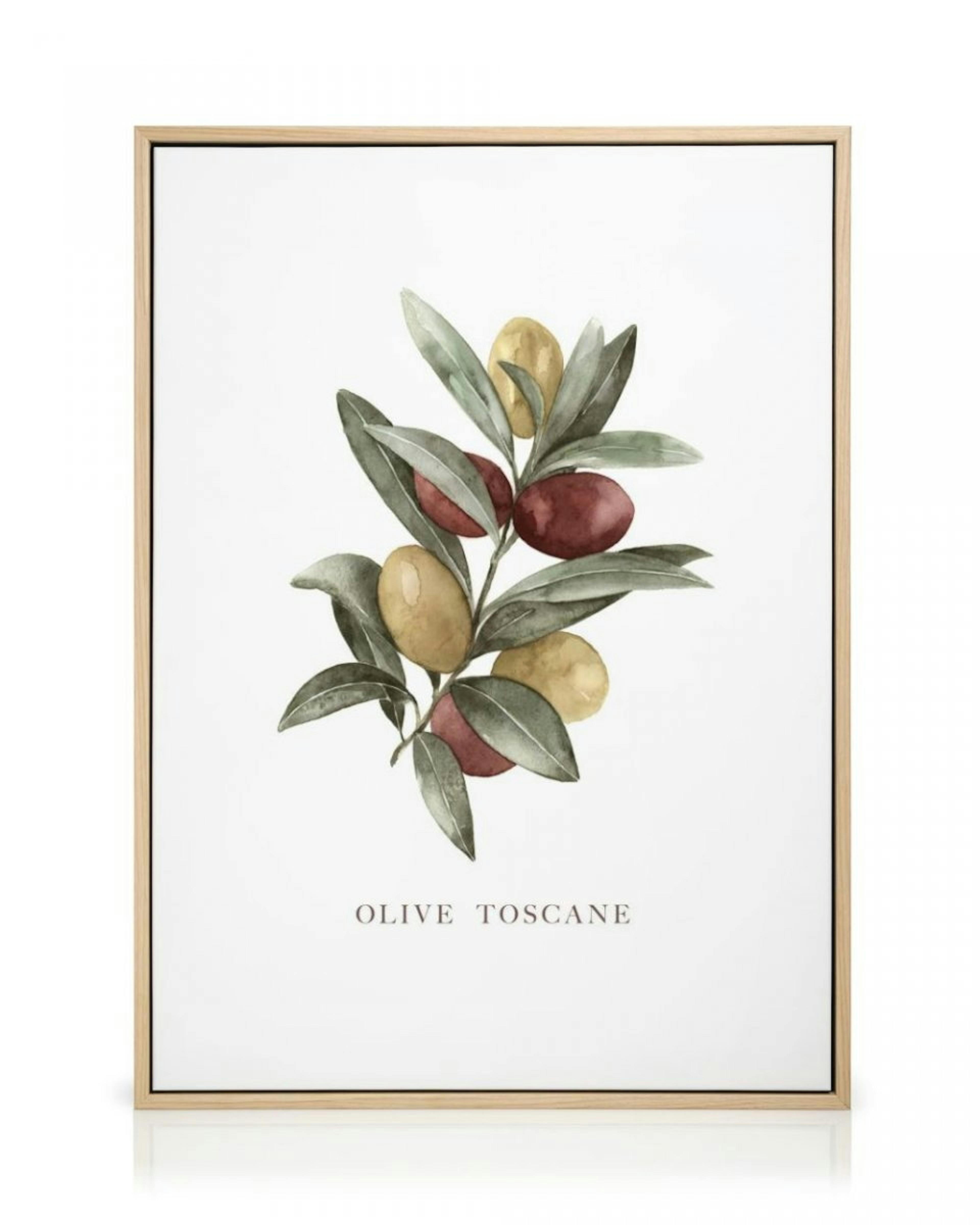 Olive Toscane Canvas Print thumbnail