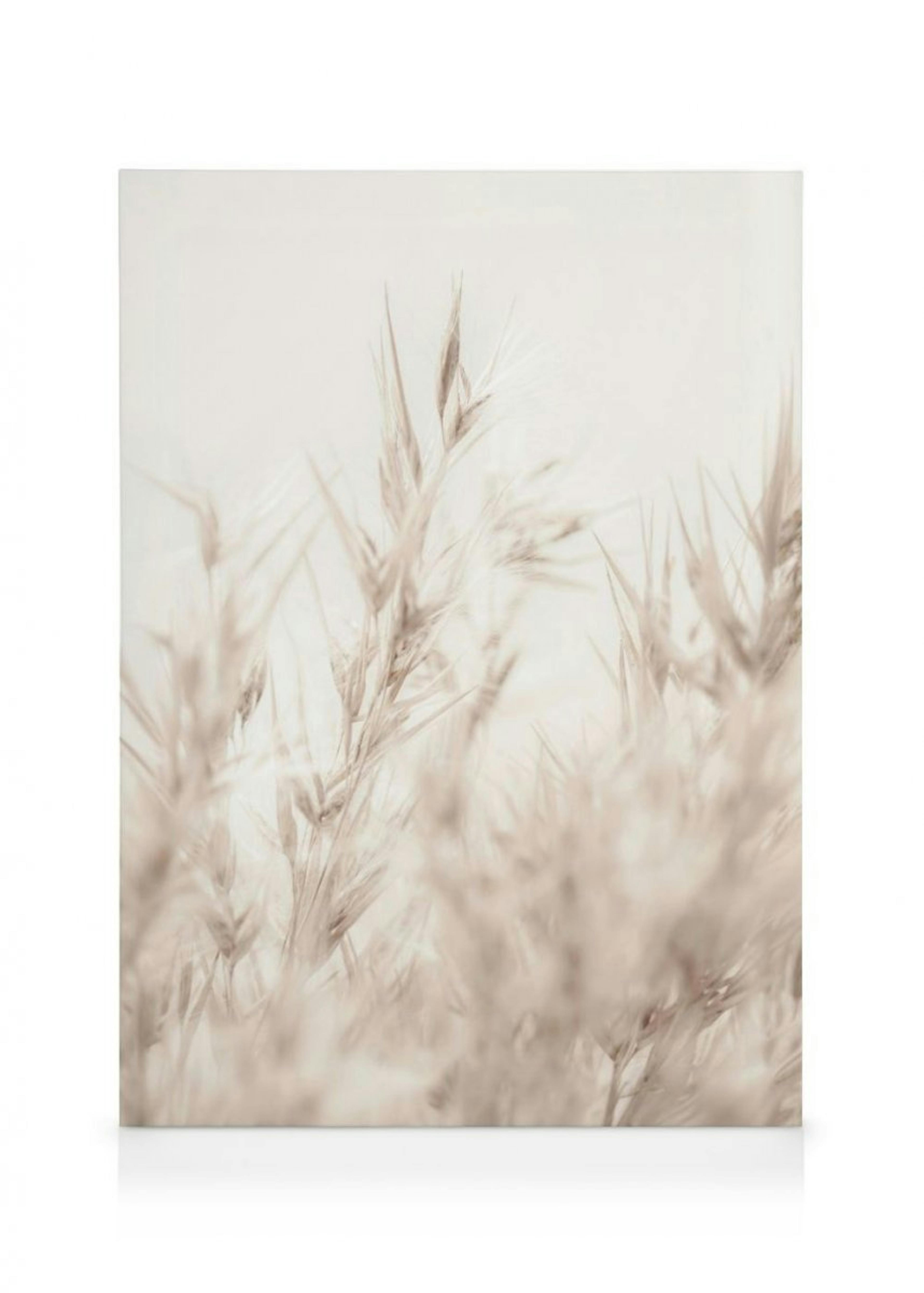 Beige Reed Canvas Print thumbnail