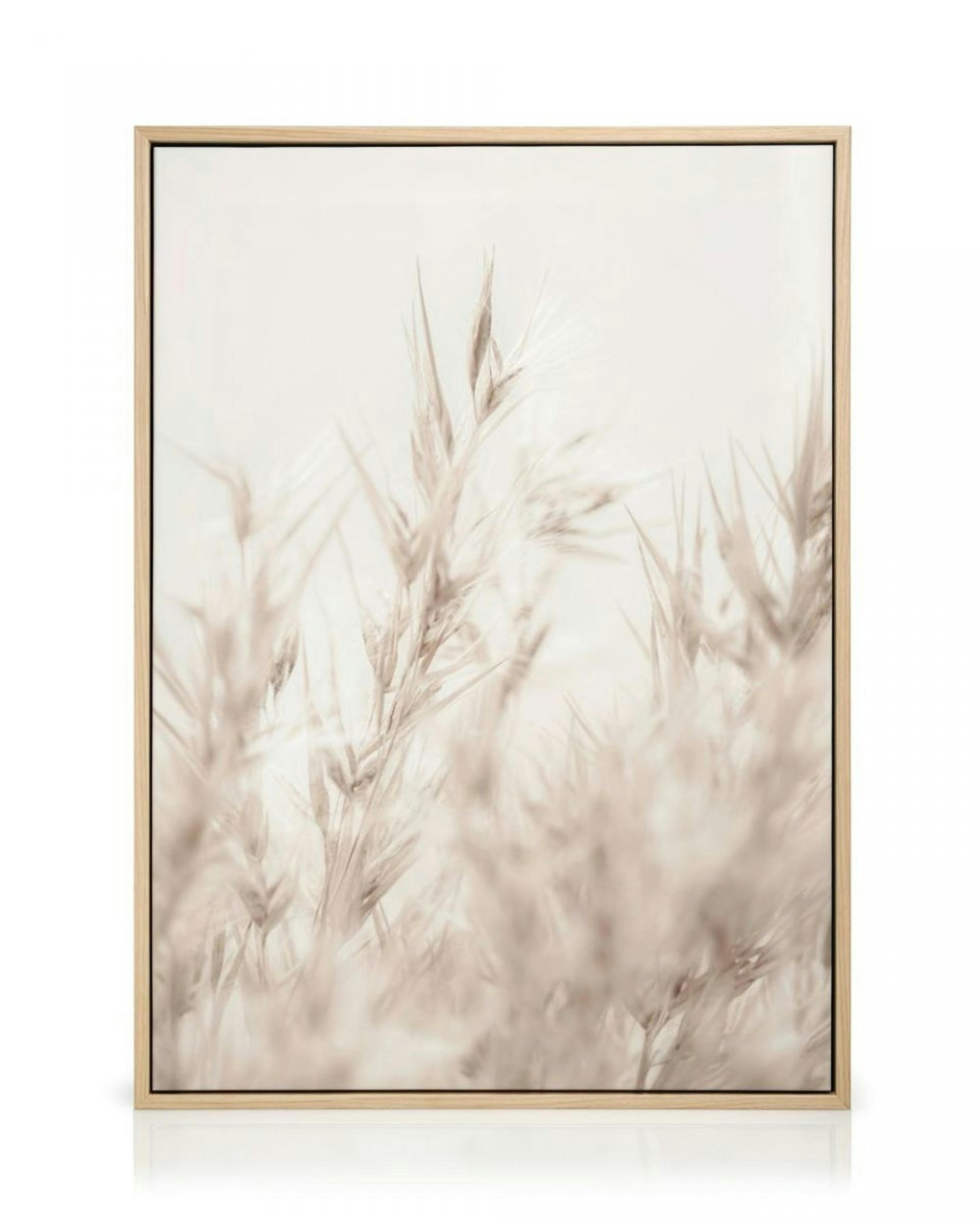 Beige Reed Canvas print thumbnail