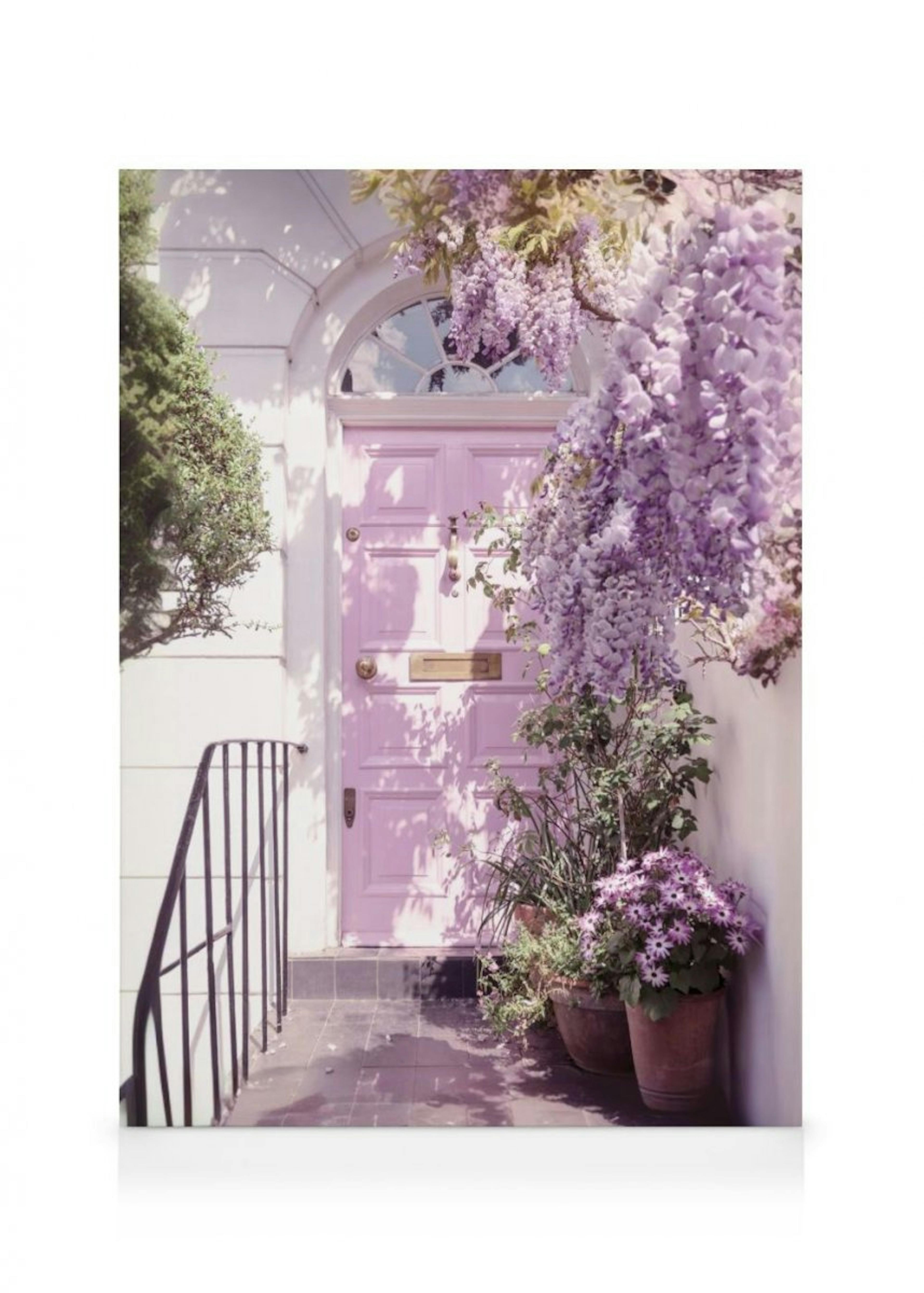 Wisteria Purple Door Lærred thumbnail