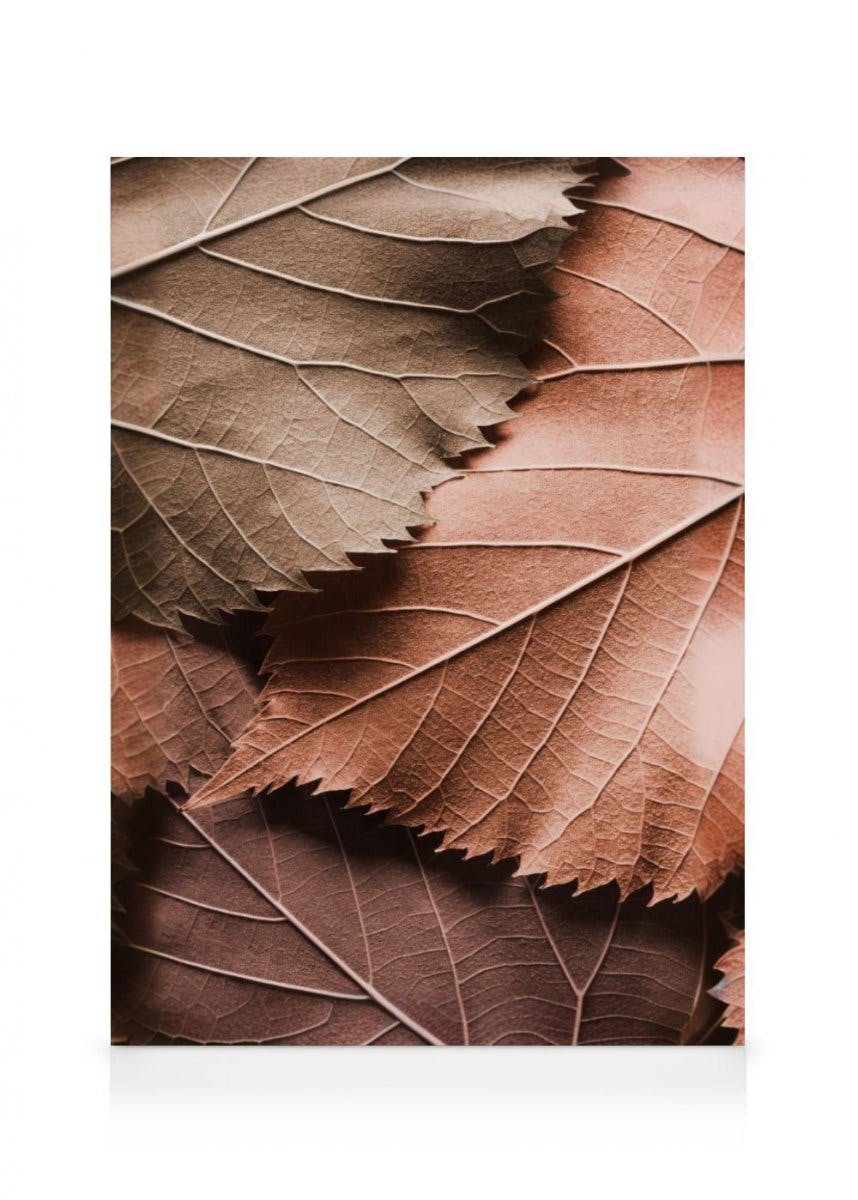 Hojas Marrones Lienzo (50x70 cm - Marco de negro) - Poster Store