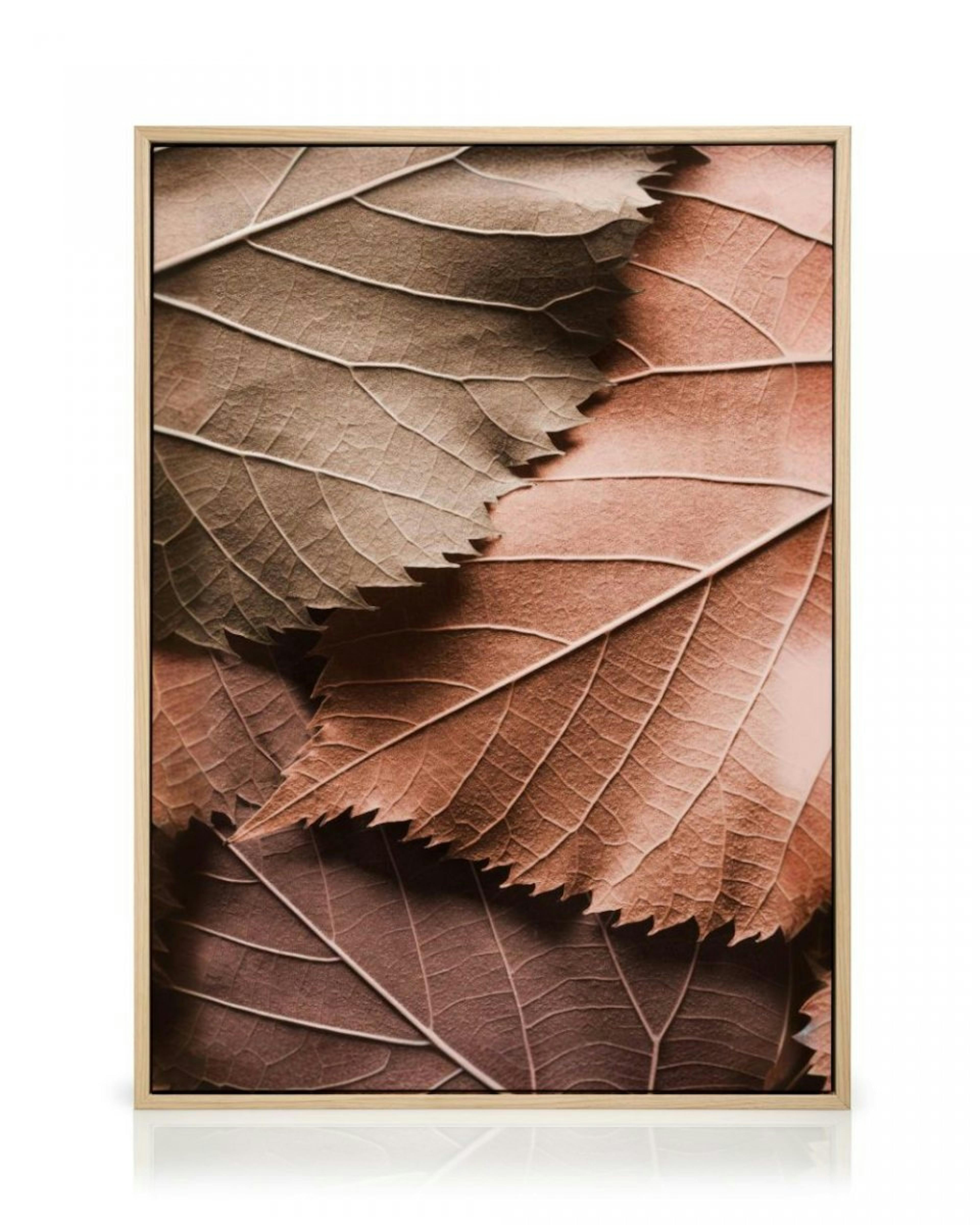 Brown Leaves Canvas Print thumbnail