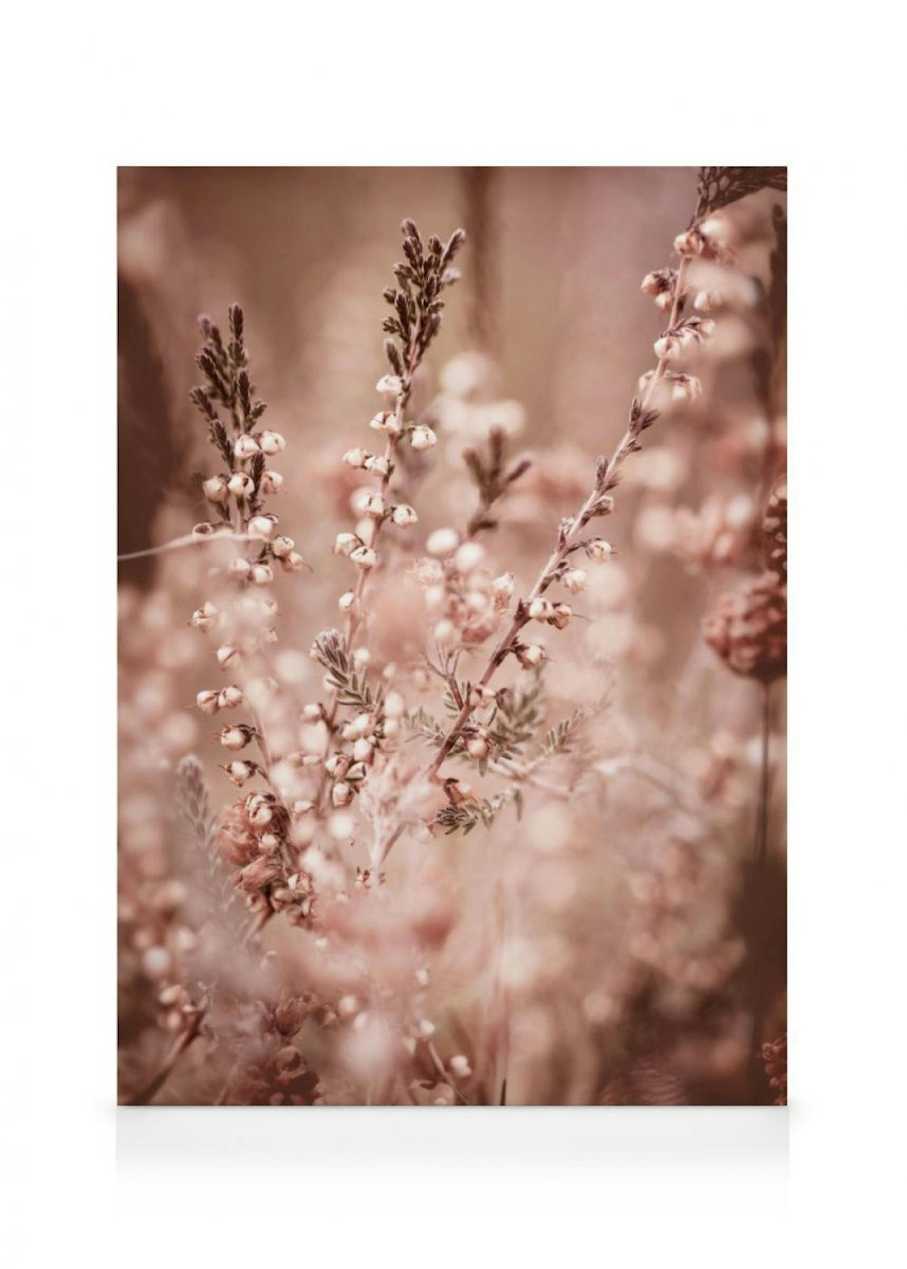 Heather Flowers Canvas thumbnail