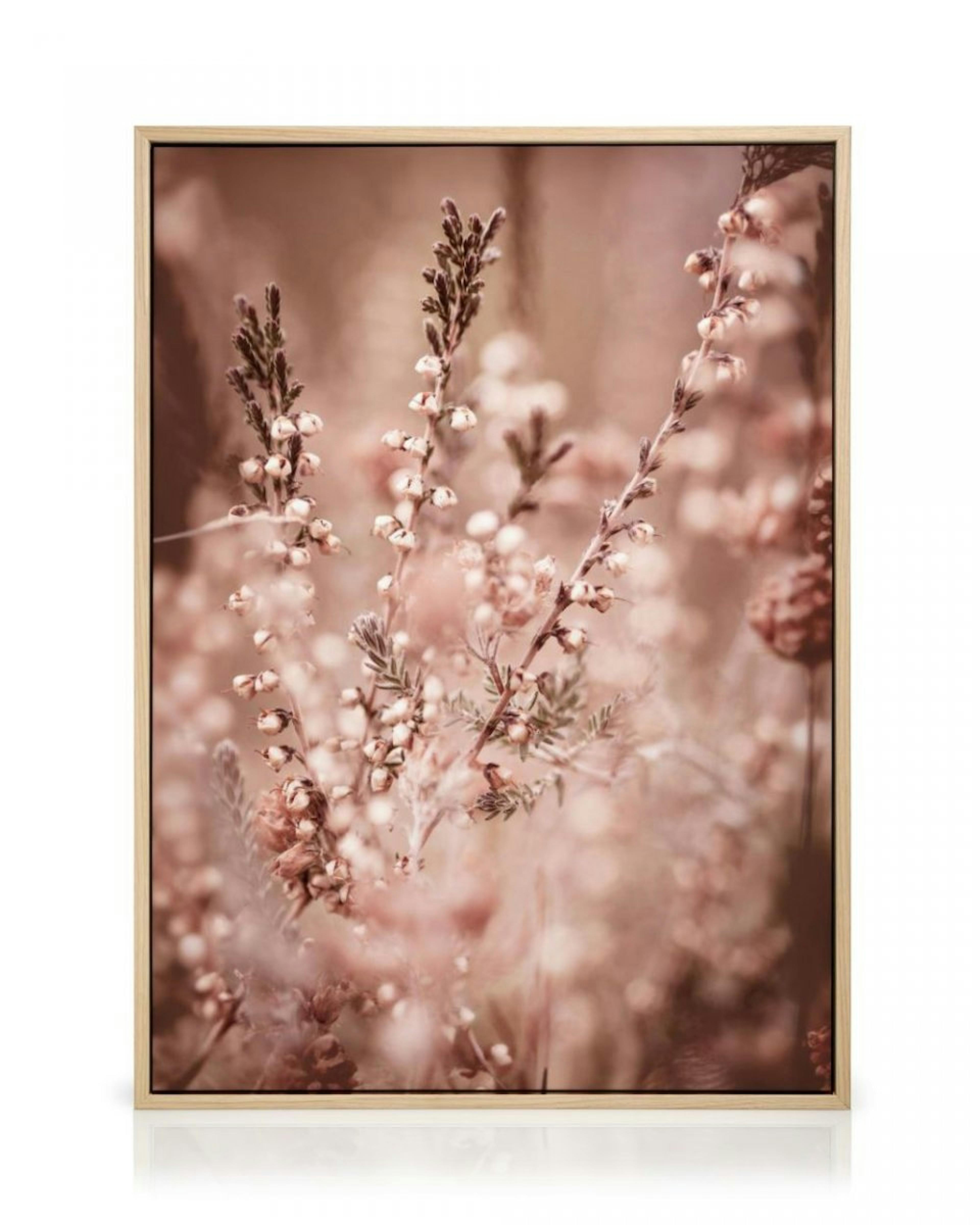 Heather Flowers Canvas thumbnail