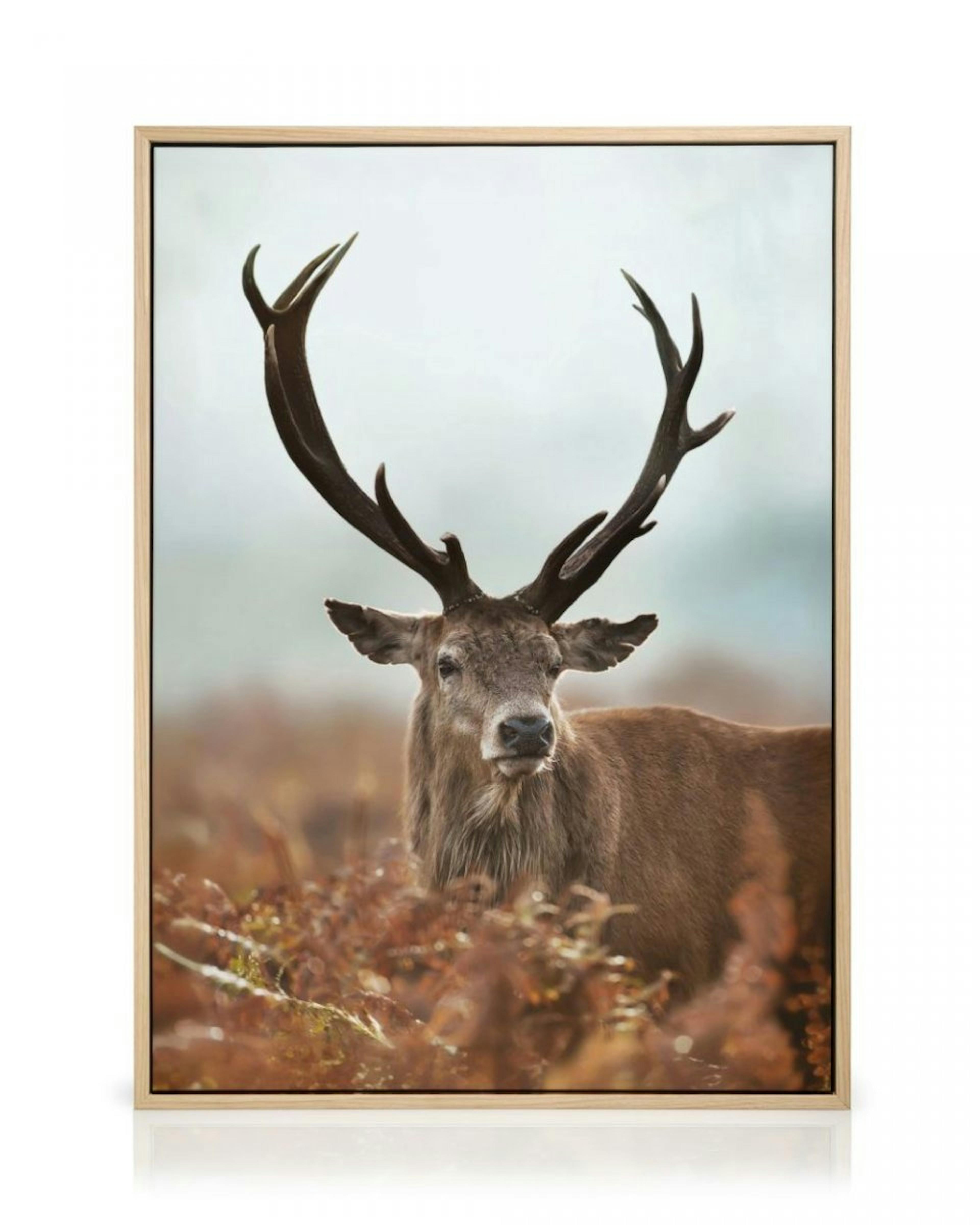 Forest Stag Canvas Print thumbnail