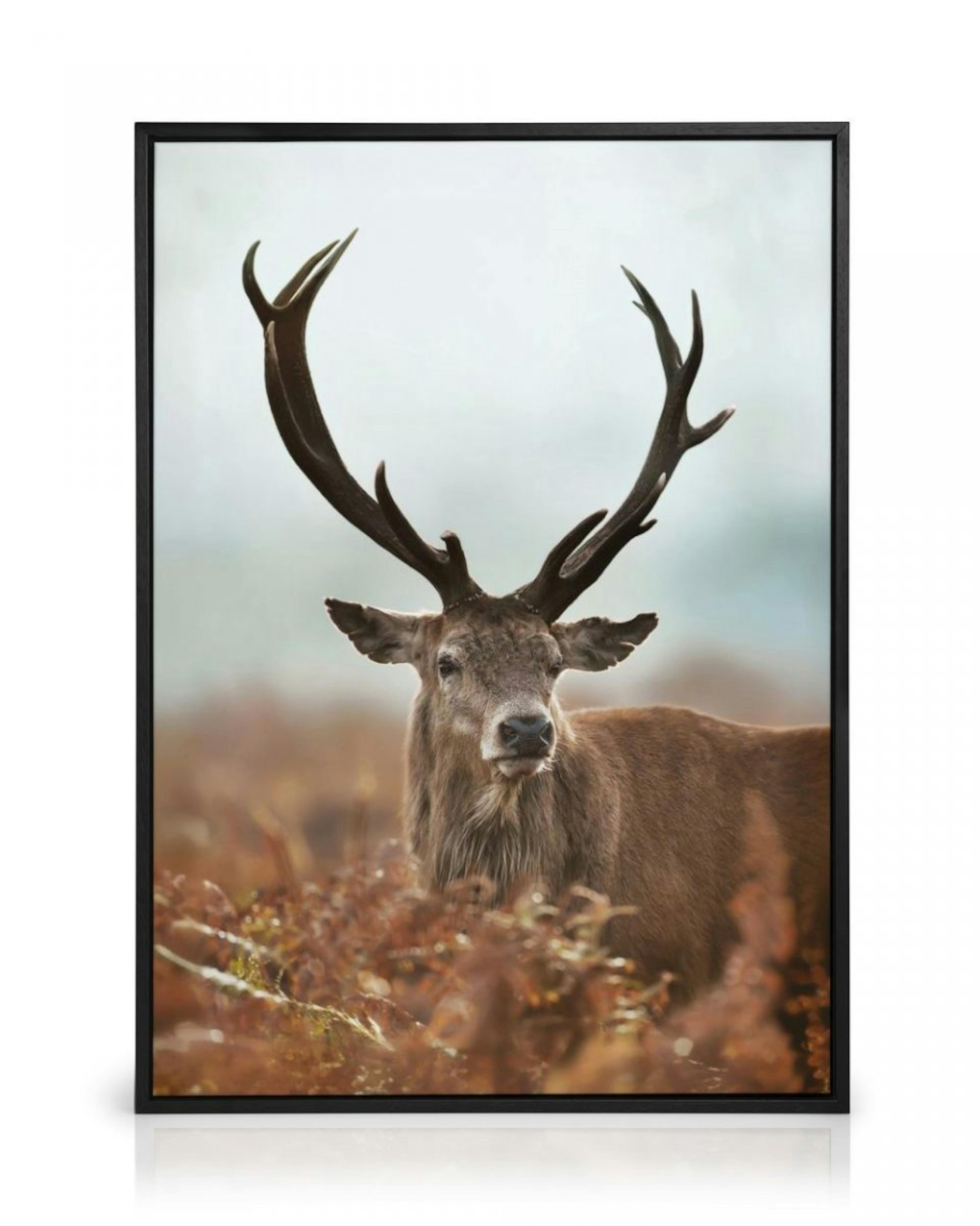 Forest Stag Canvas Print thumbnail