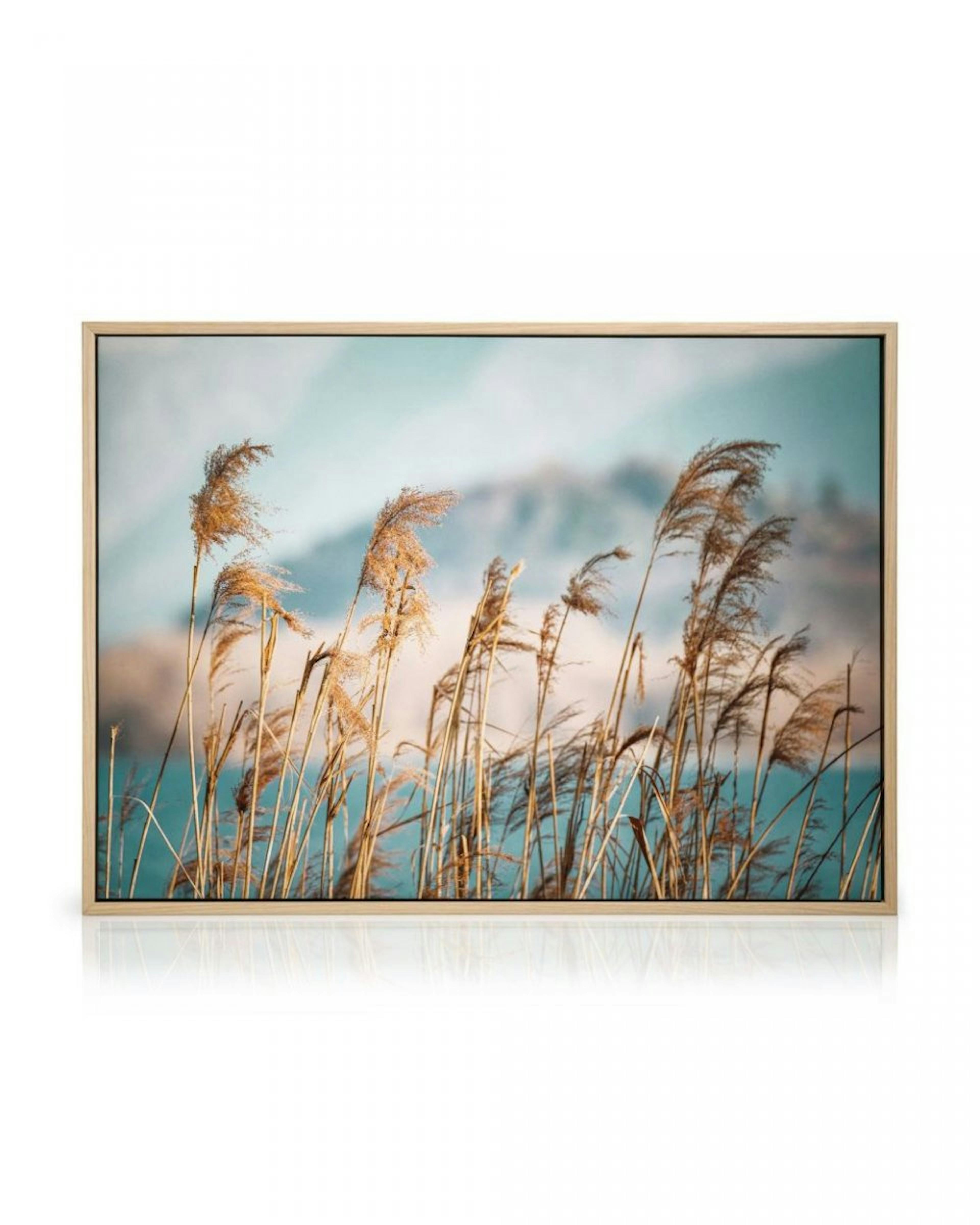 Reeds by the Lake Lienzo thumbnail