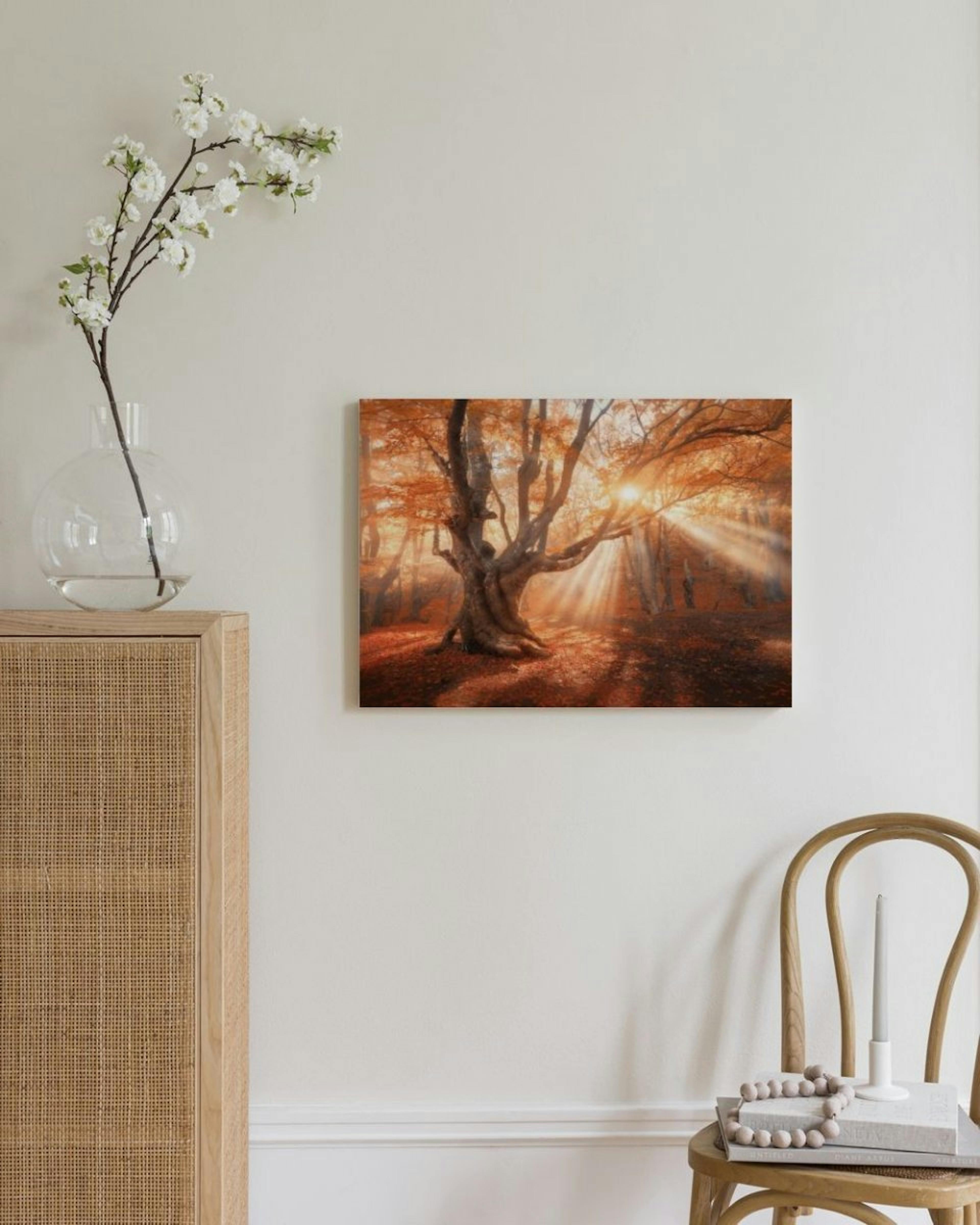 Zonneschijn Door Boom Canvas thumbnail