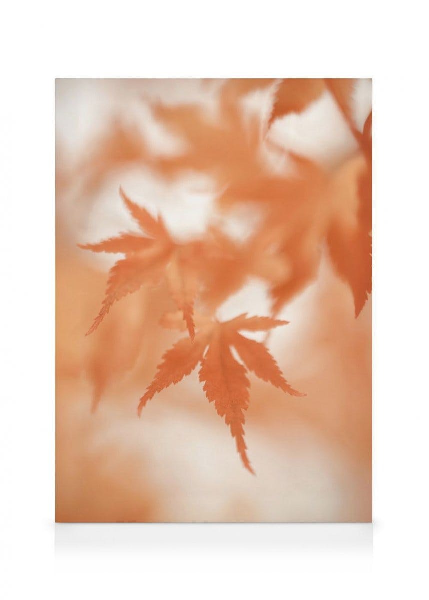 Japanese Maple Leaves Canvas Print (30x40 cm - Oak Frame) - Poster Store