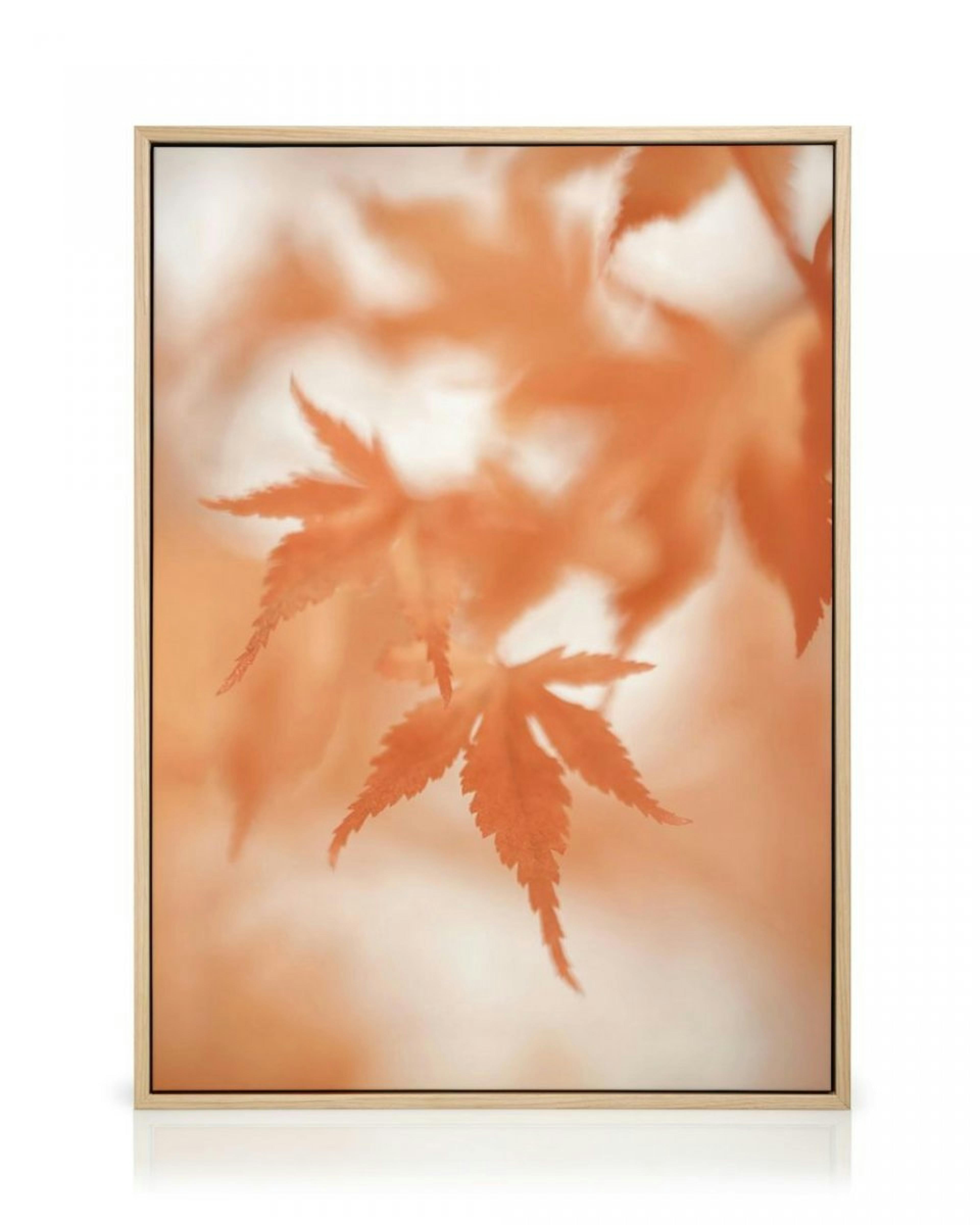 Japanese Maple Leaves Canvas print thumbnail