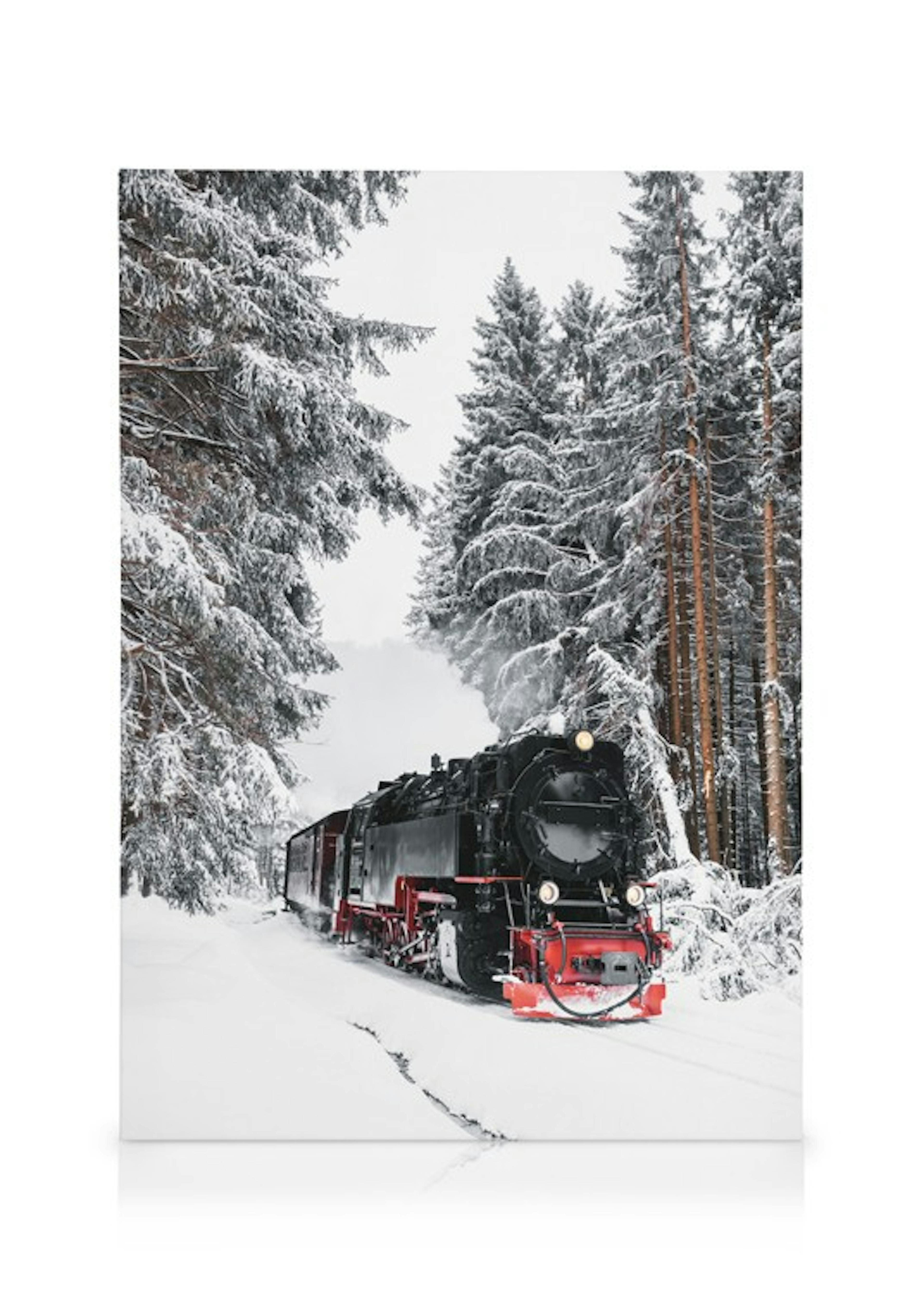 Winter Train Lærred thumbnail