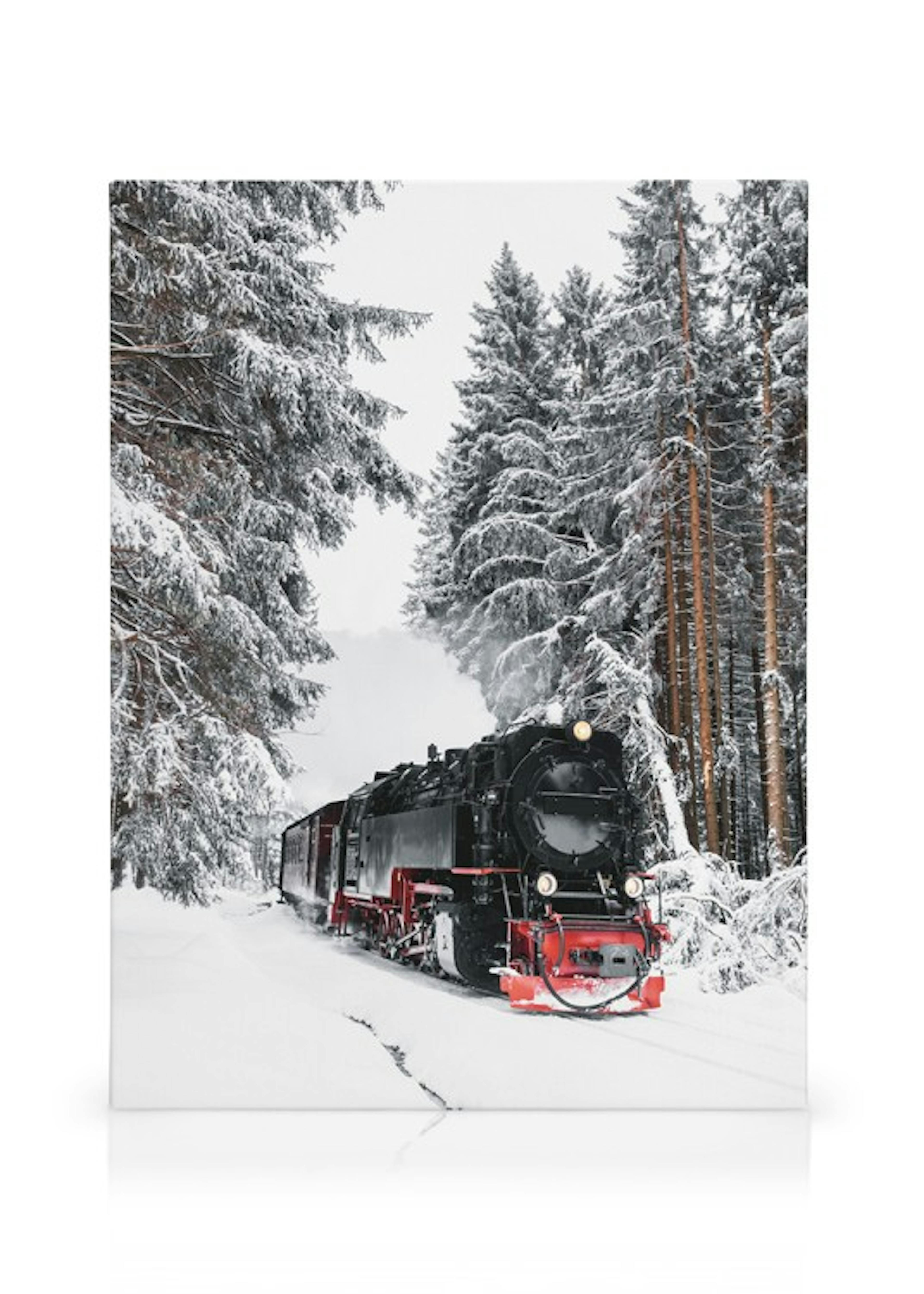 Winter Train Obraz na płótnie thumbnail