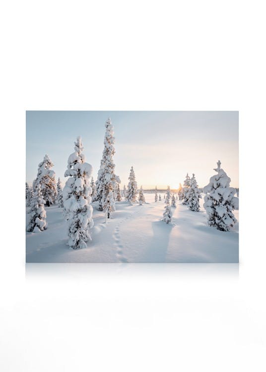 Canvastavlor - Frosty Landscape Canvas (50x70 cm) - Poster Store