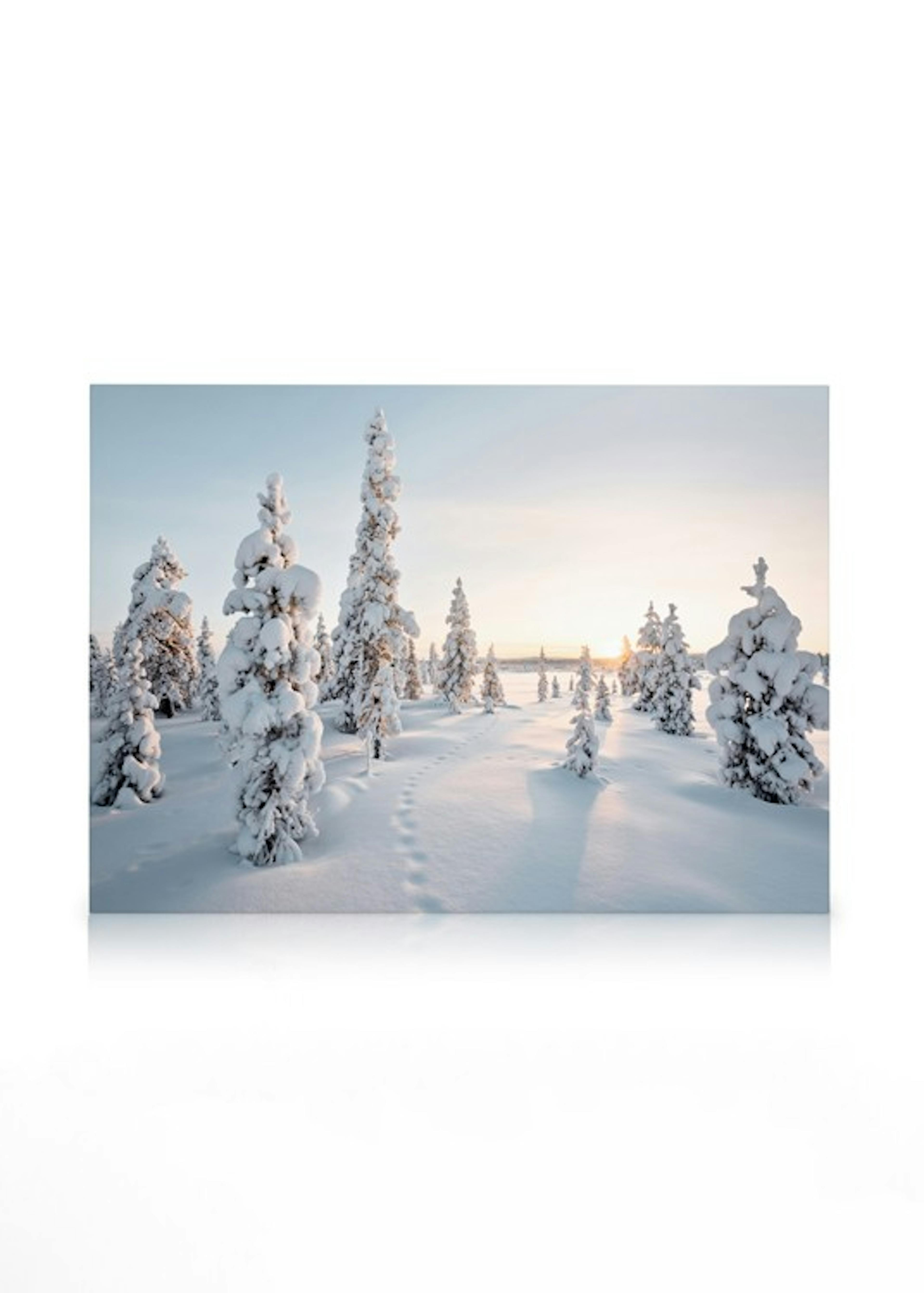 Frosty Landscape Canvas print 0