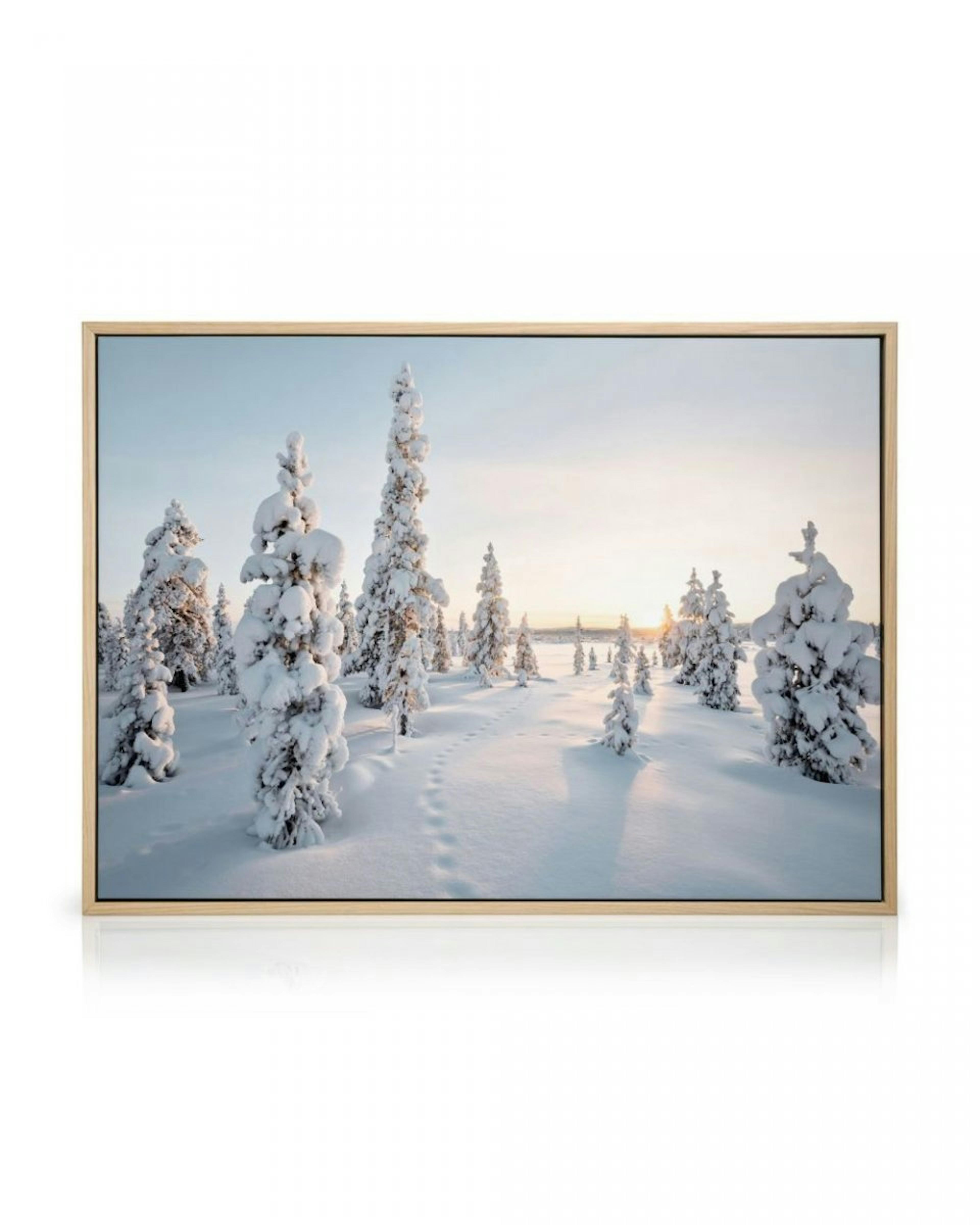 Frosty Landscape Canvas print thumbnail