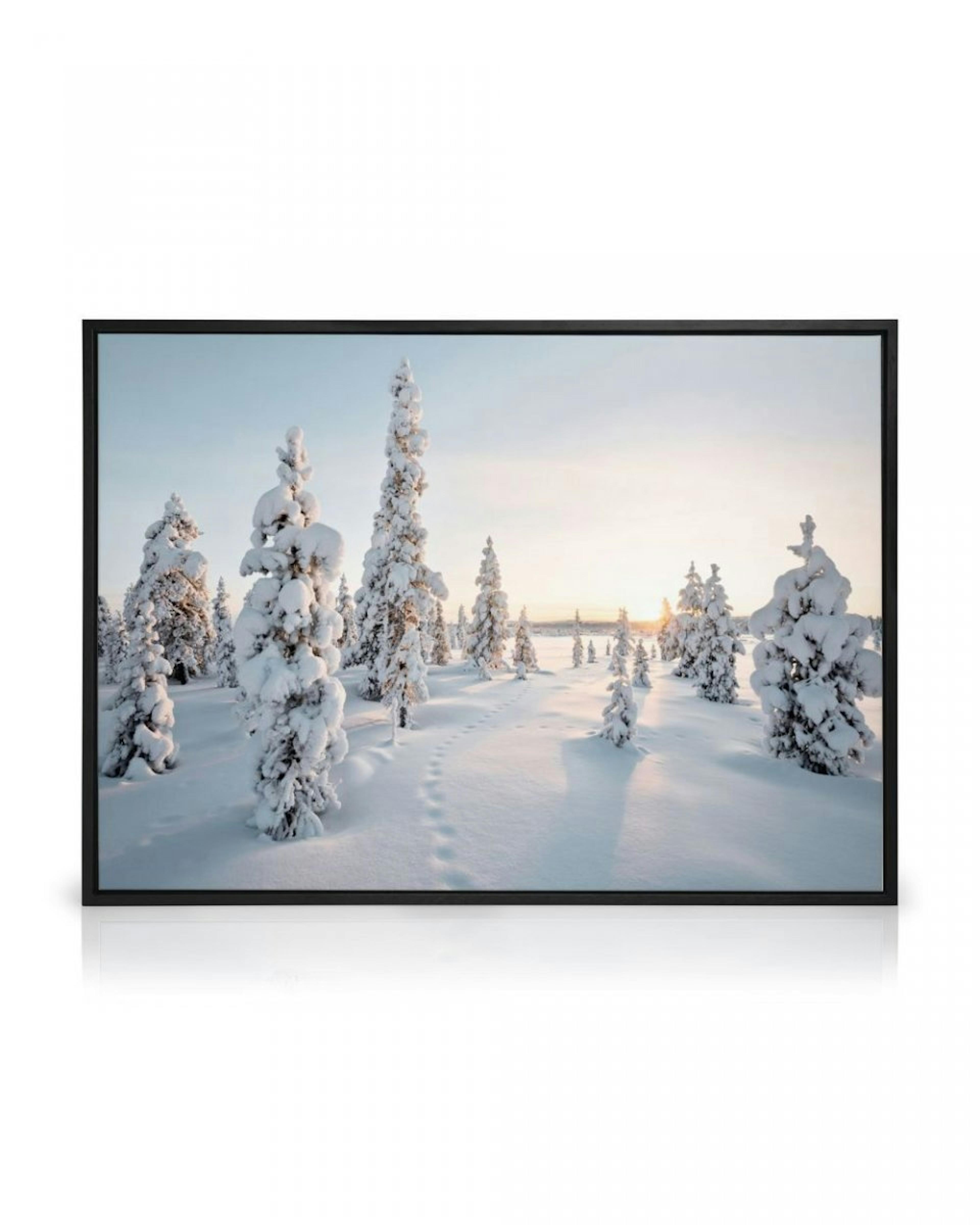 Frosty Landscape Canvas thumbnail