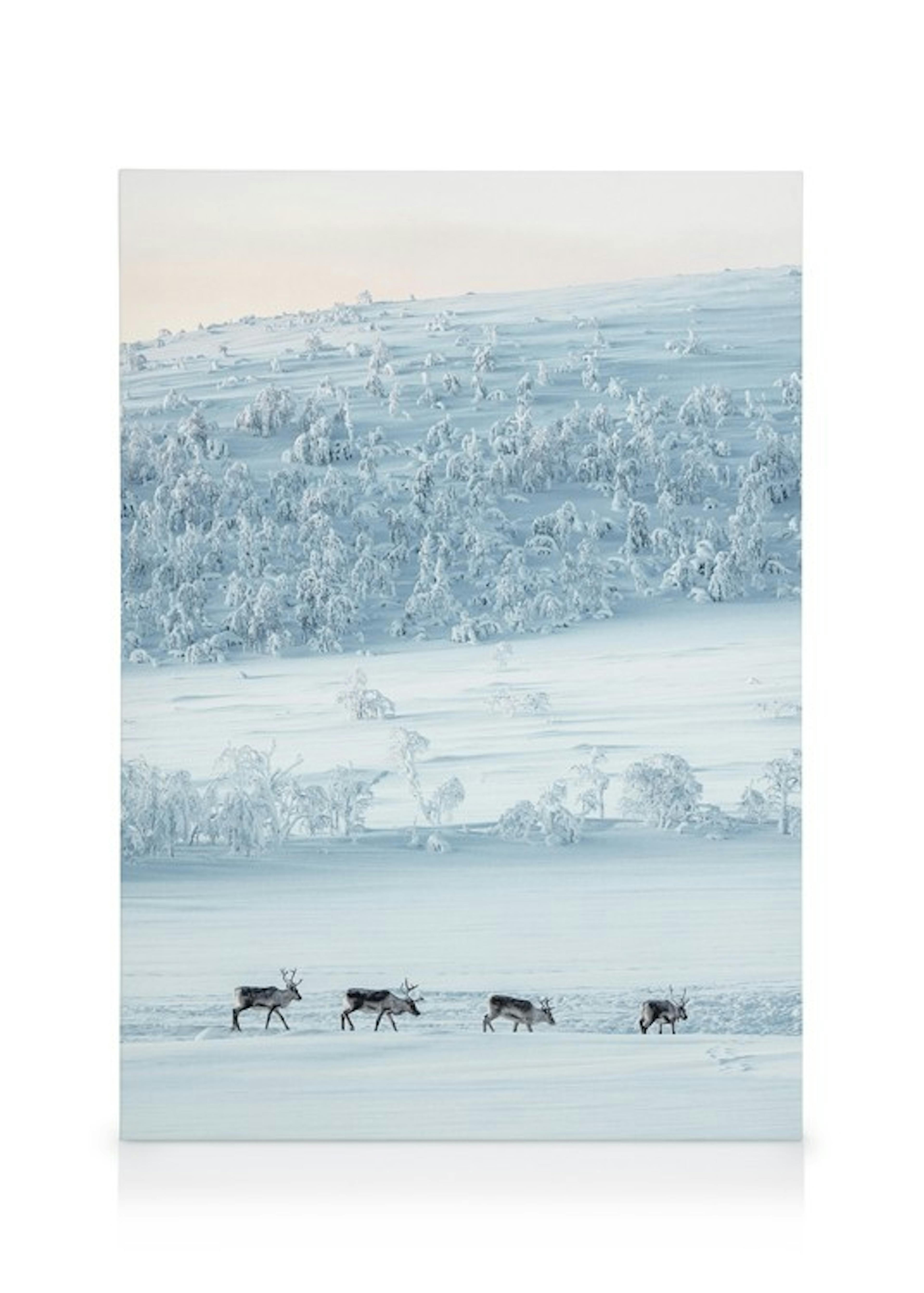 Snowscape Reindeers Canvas print thumbnail
