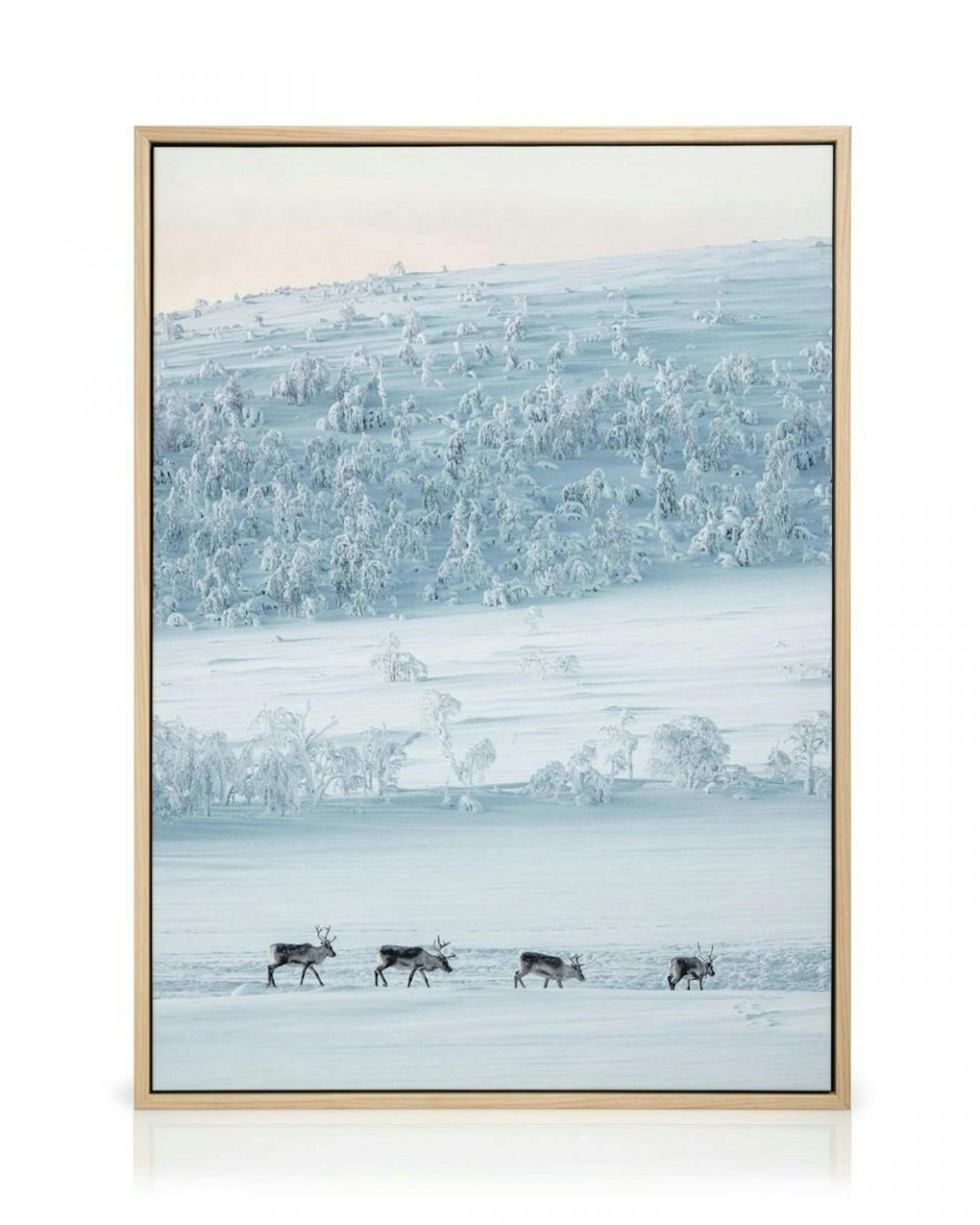 Snowscape Reindeers Obraz na płótnie thumbnail