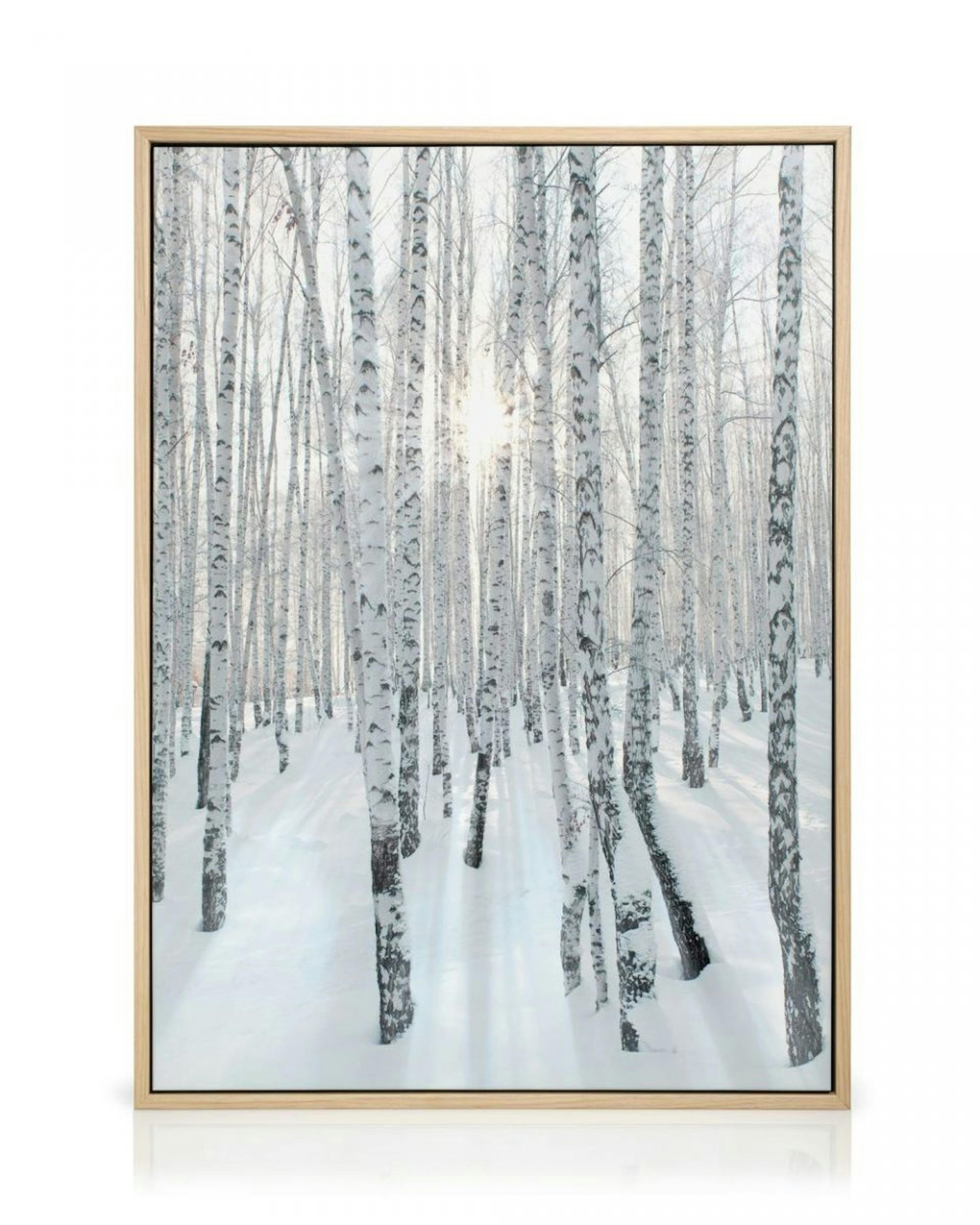 Snowy Birch Forest Obraz na płótnie thumbnail