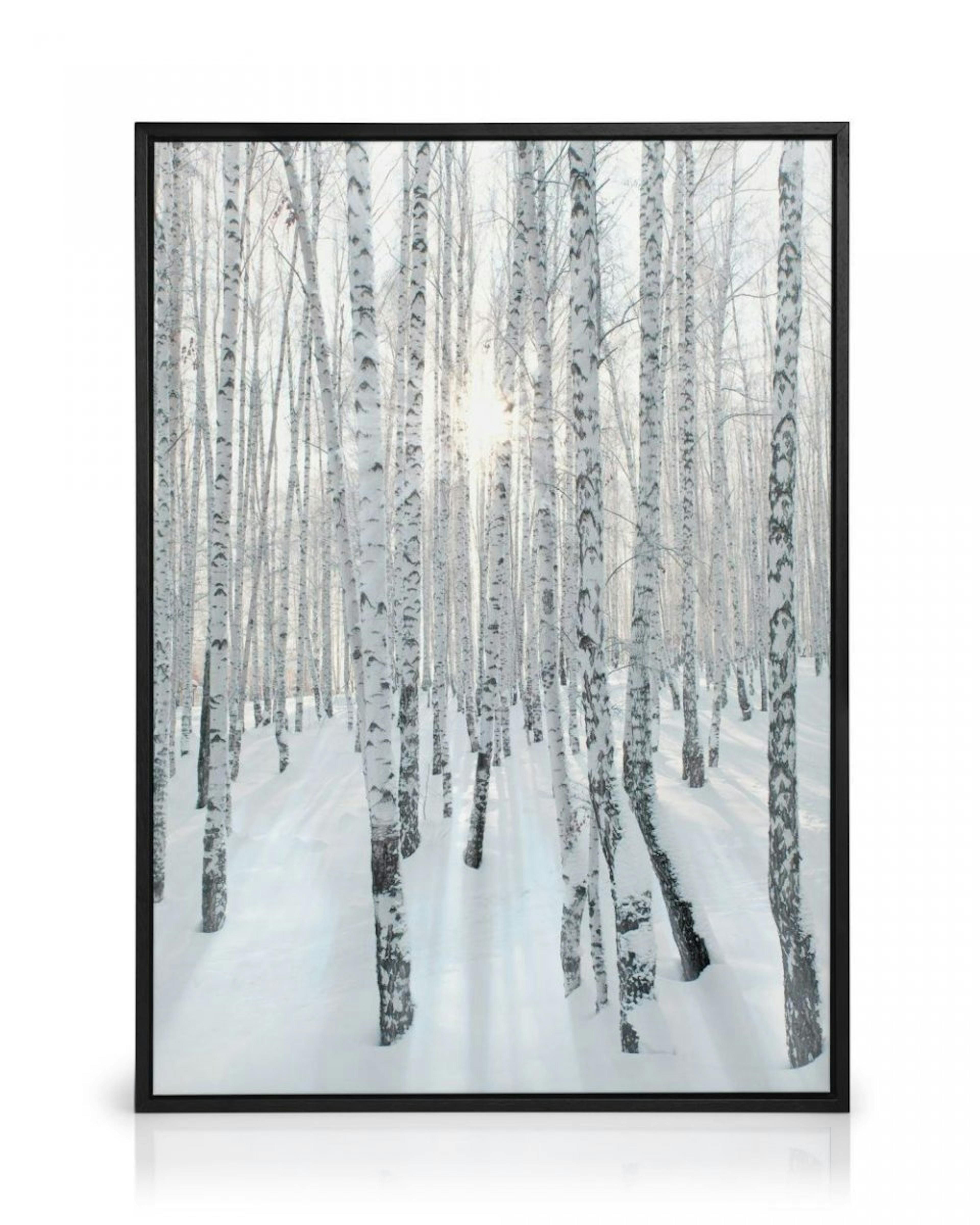 Snowy Birch Forest Obraz na płótnie thumbnail