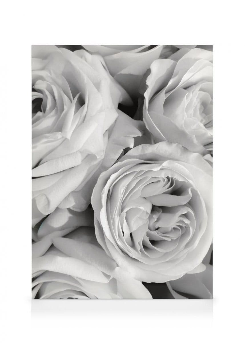 Monochrome Rozen Canvas (50x70 cm - Fotolijst Zwart) - Poster Store