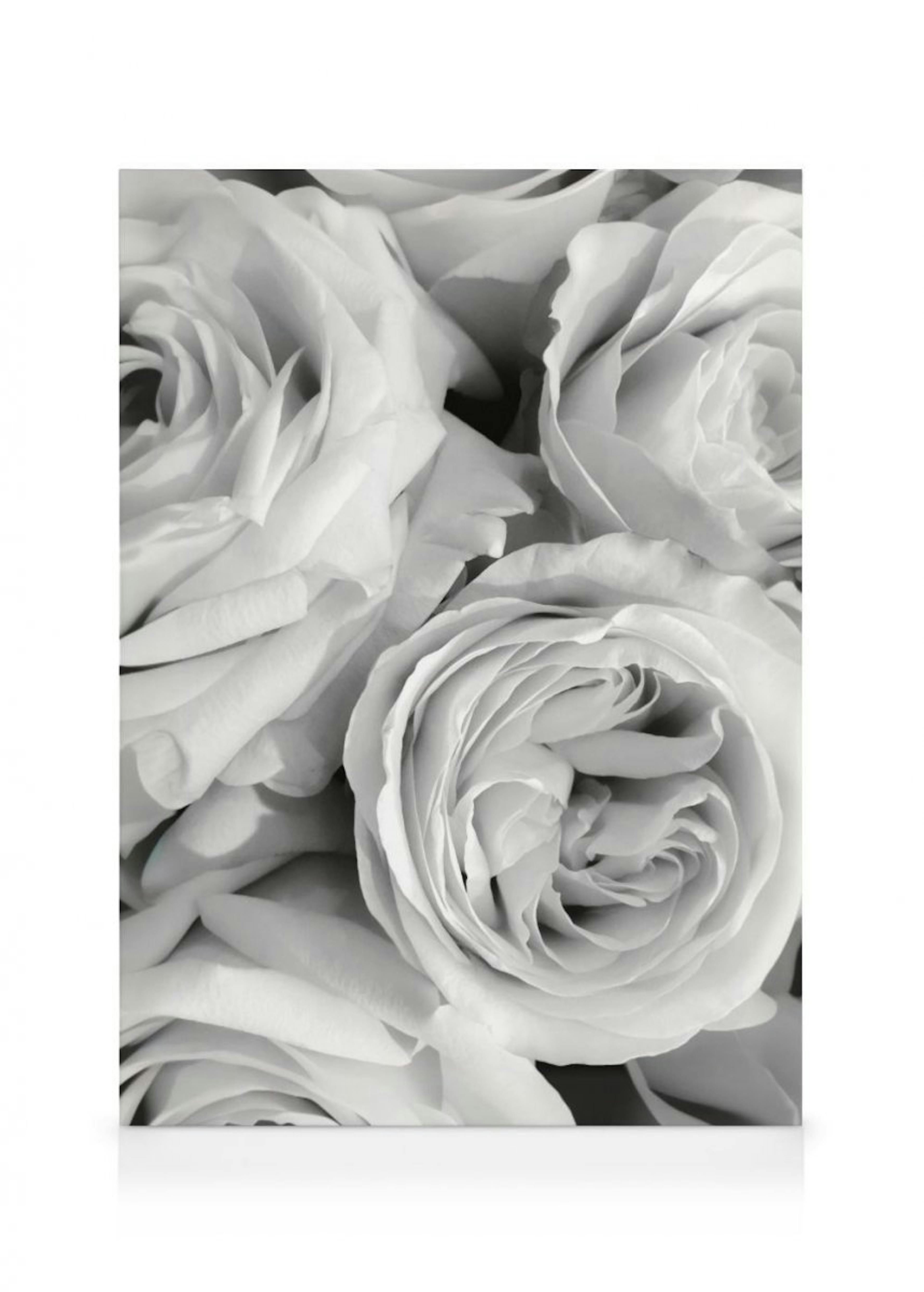 Monochrome Roses Canvas 0