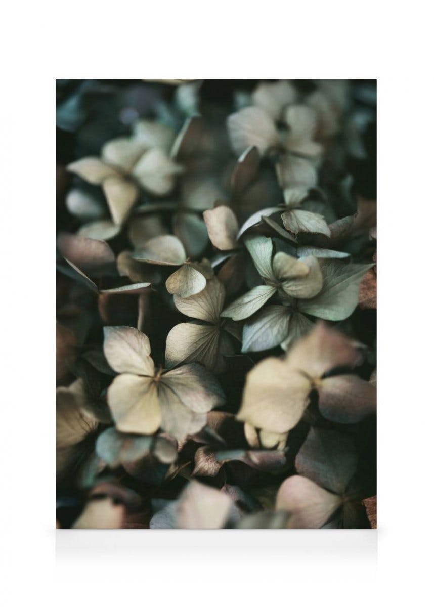 Canvas Prints - Green Hydrangea Canvas print (30x40 cm) - Poster Store