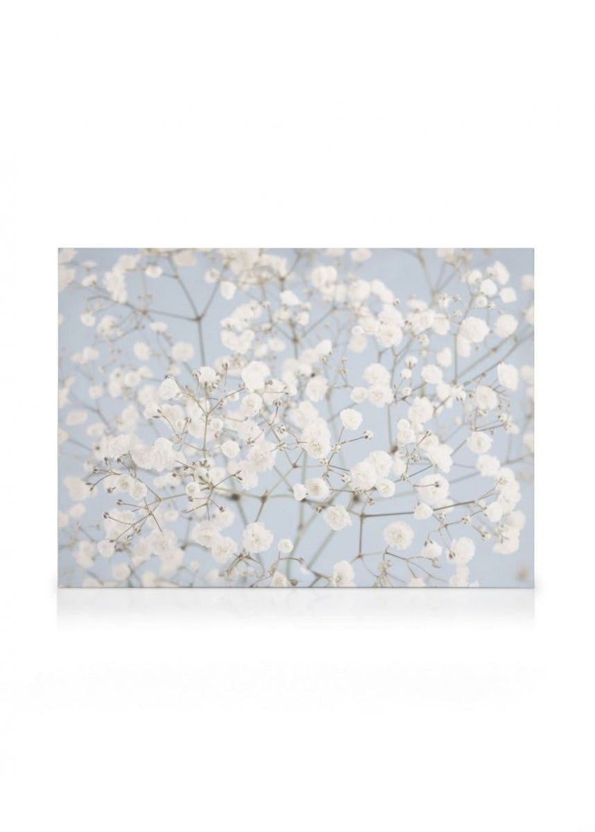Canvas Prints - Baby's Breath Flowers Canvas print (70x100 cm - Black Frame) - Poster Store