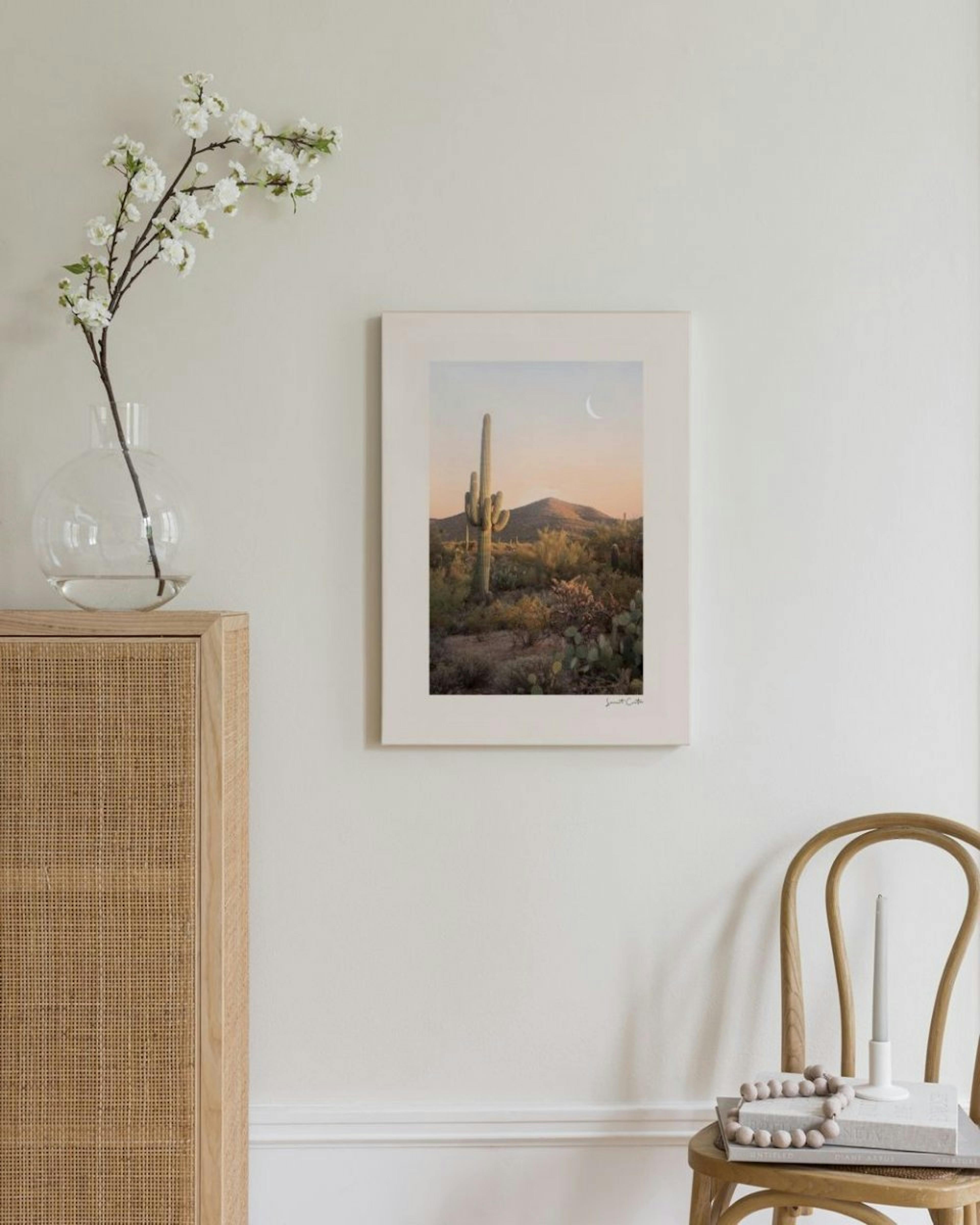 Cactus Sunset Canvas Print thumbnail