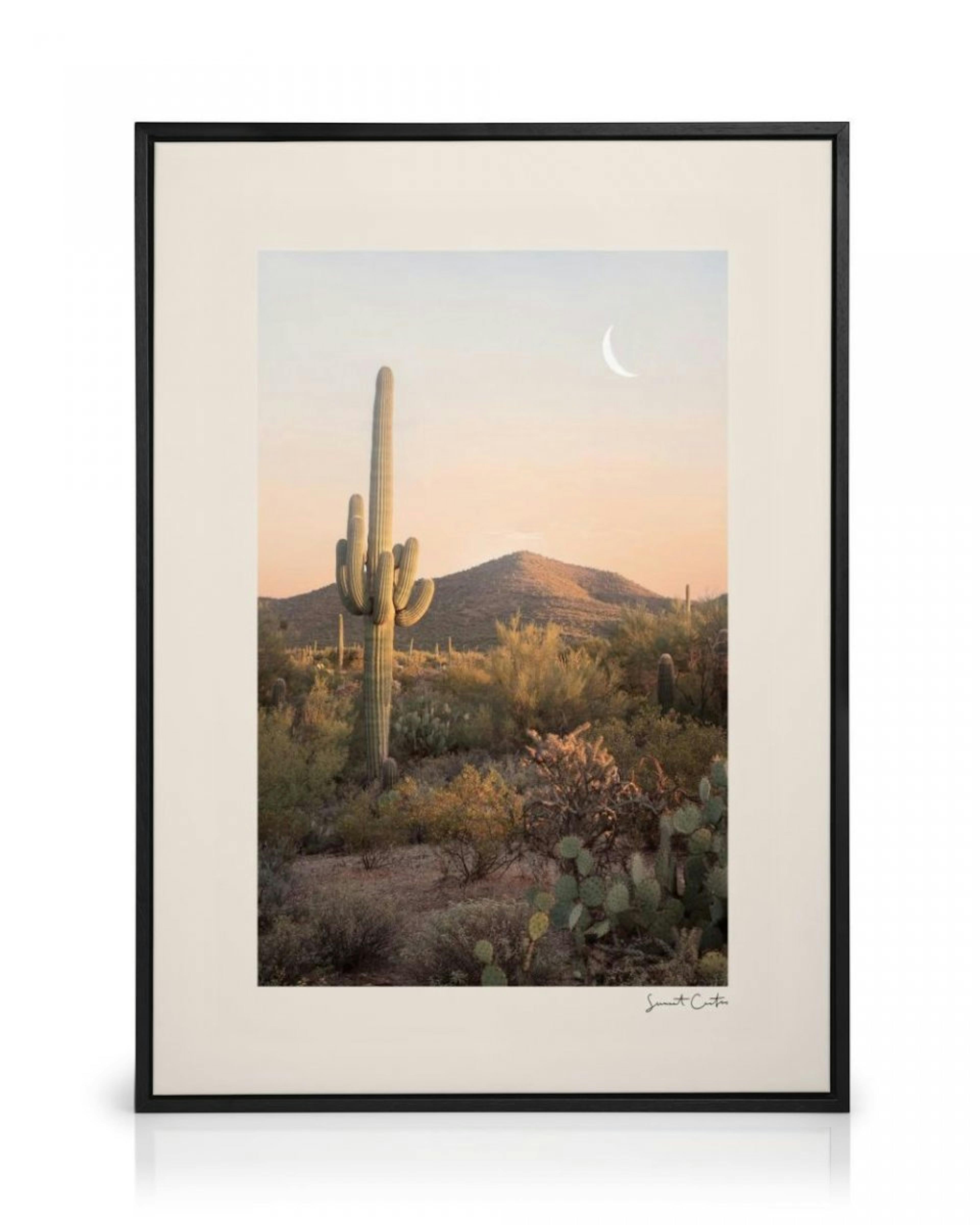 Cactus Sunset Canvas Print thumbnail