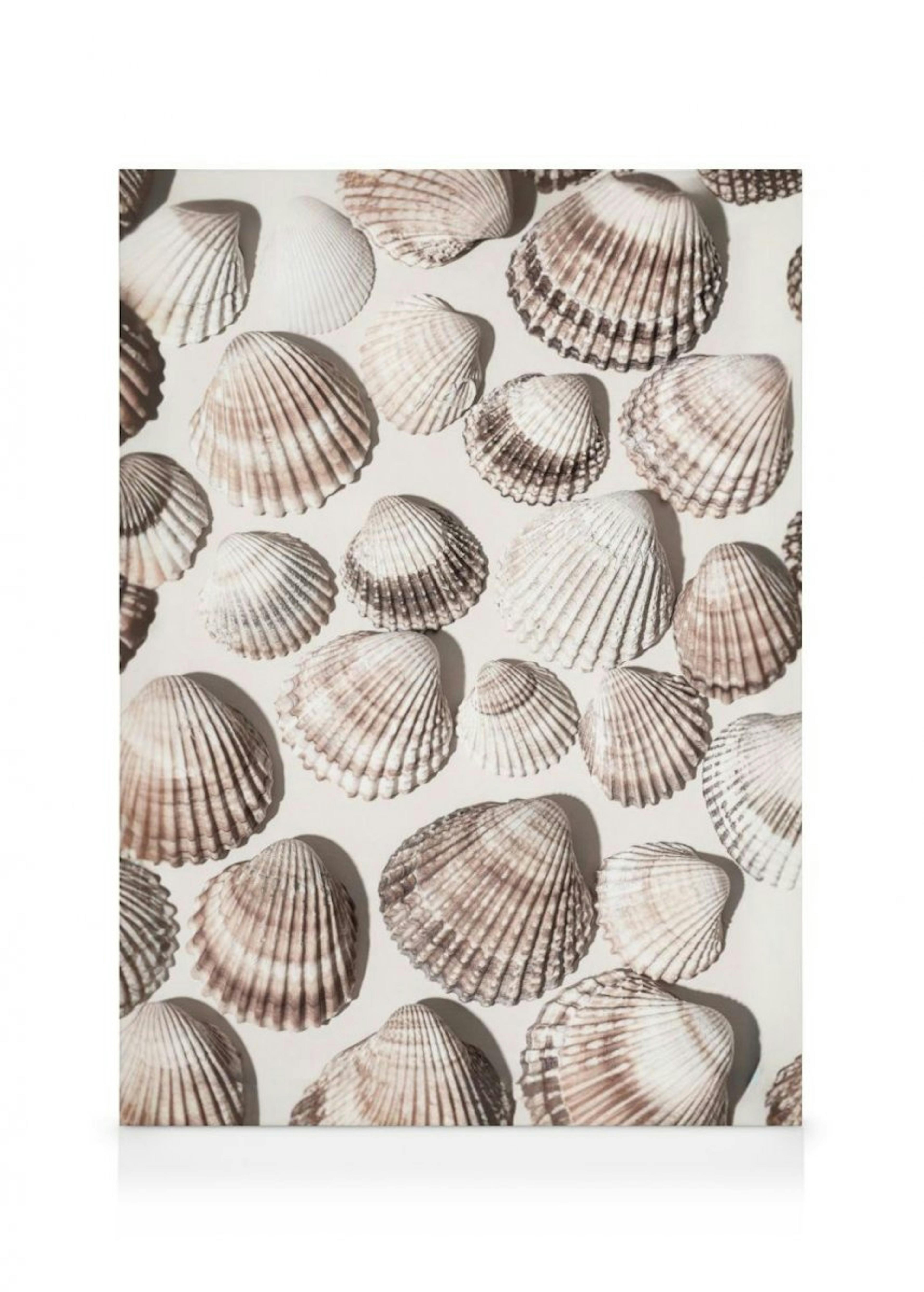 Sea Treasures Canvas Print thumbnail