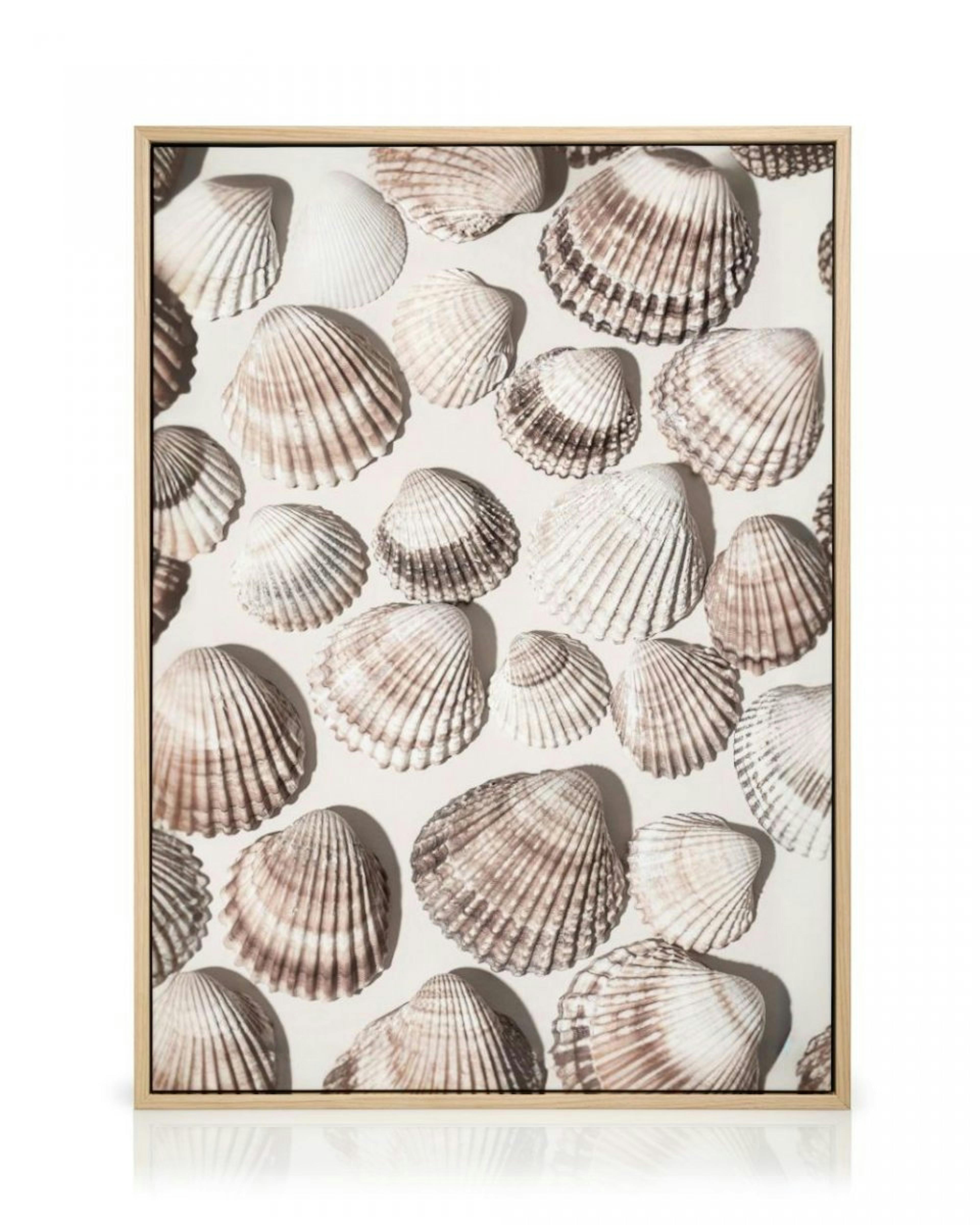 Sea Treasures Canvas Print thumbnail