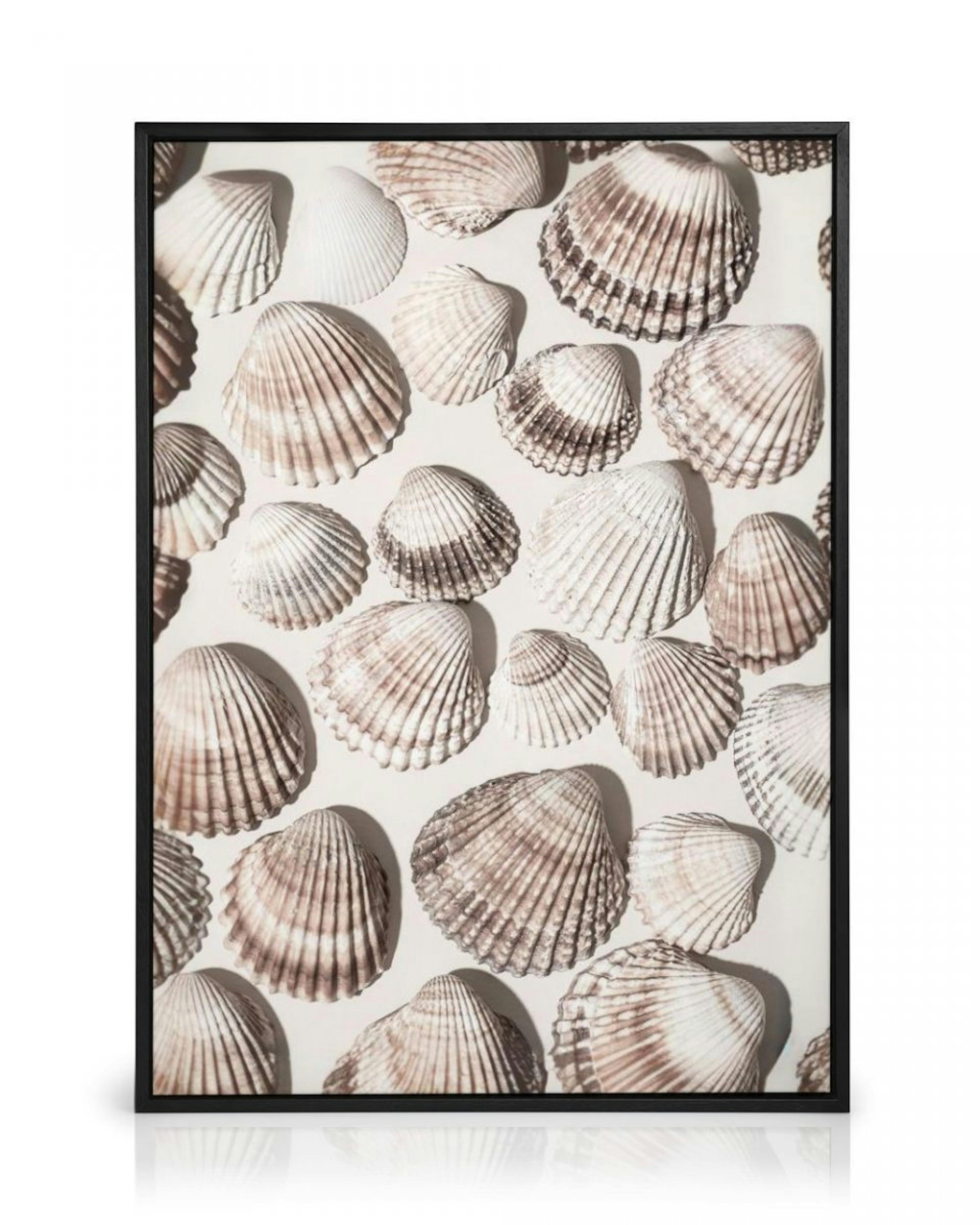 Sea Treasures Canvas Print thumbnail