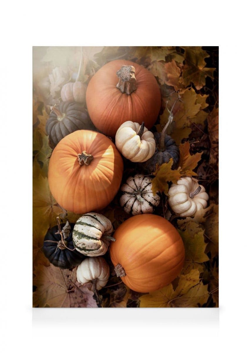 Canvastavlor - Pumpkins canvastavla (30 x 40 cm - Svart ram) - Poster Store