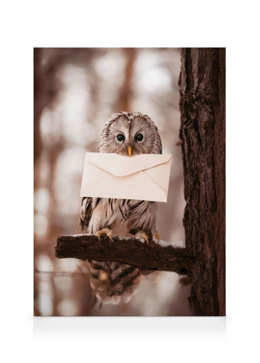 Toile Chouette Lettre (70x100 cm - Cadre de chêne) - Poster Store