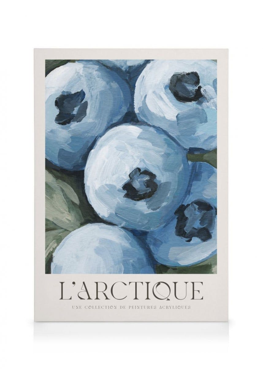 The Arctic No1 Obraz na płótnie (50x70 cm) - Poster Store