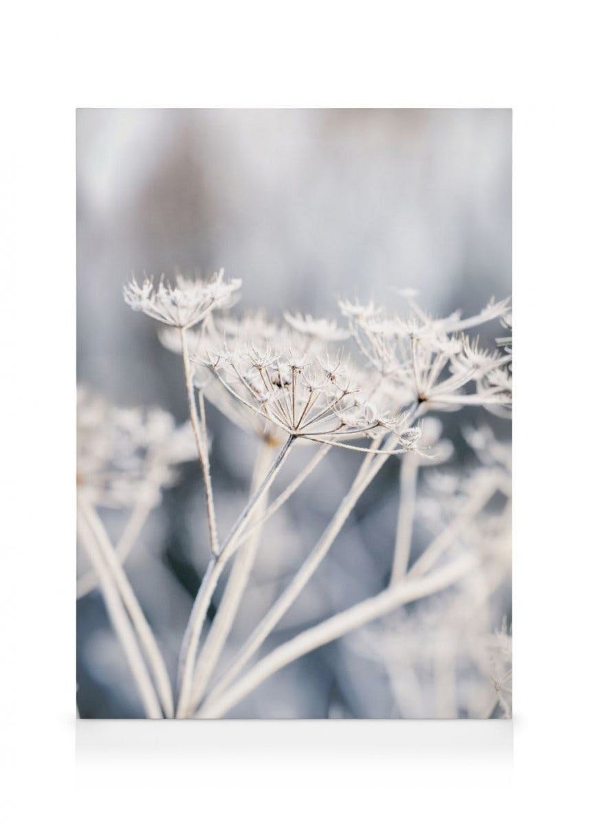 Frozen Flower Canvas (50x70 cm - Fotokaders Eiken) - Poster Store