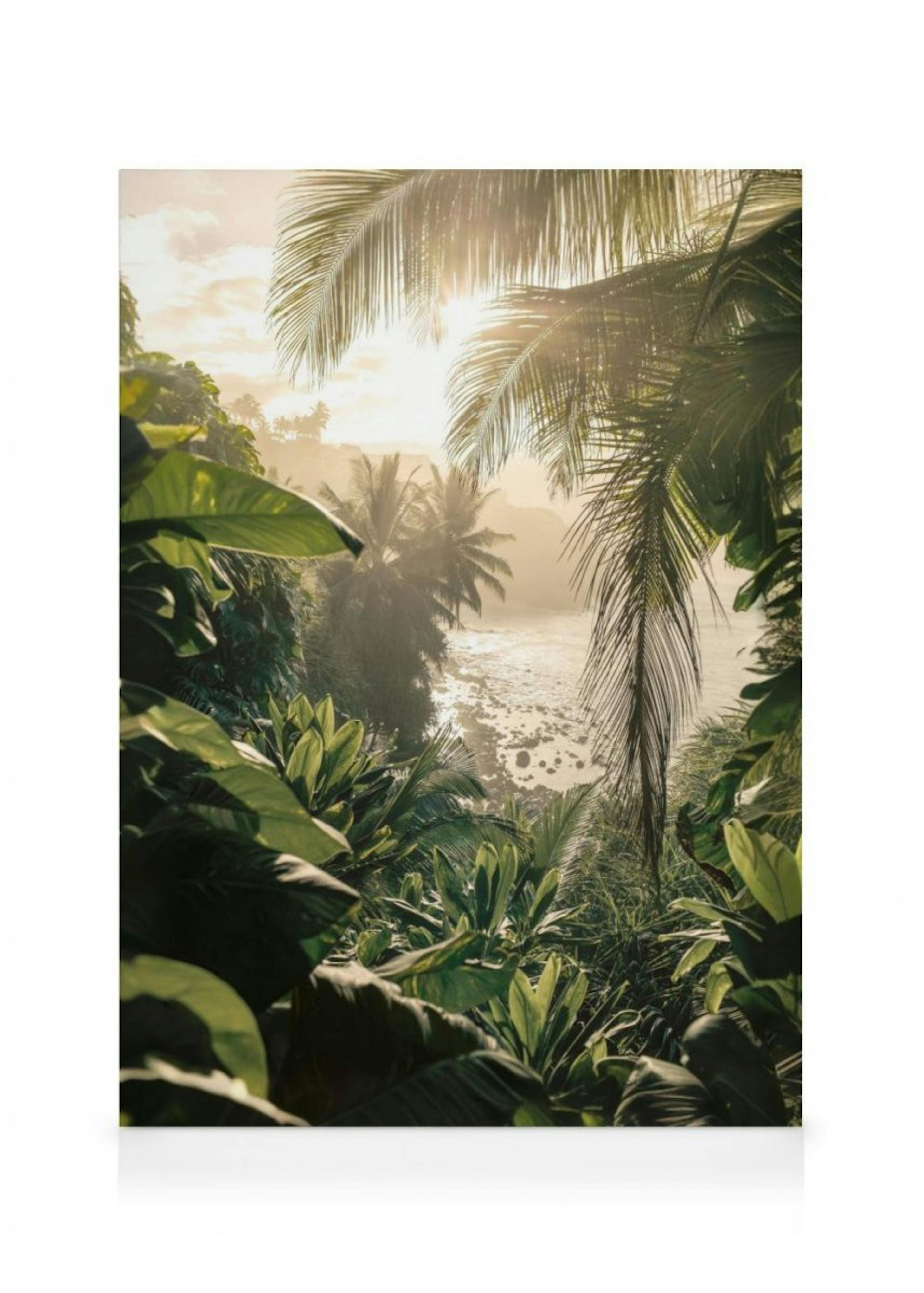 Jungle Light Canvas Print 0