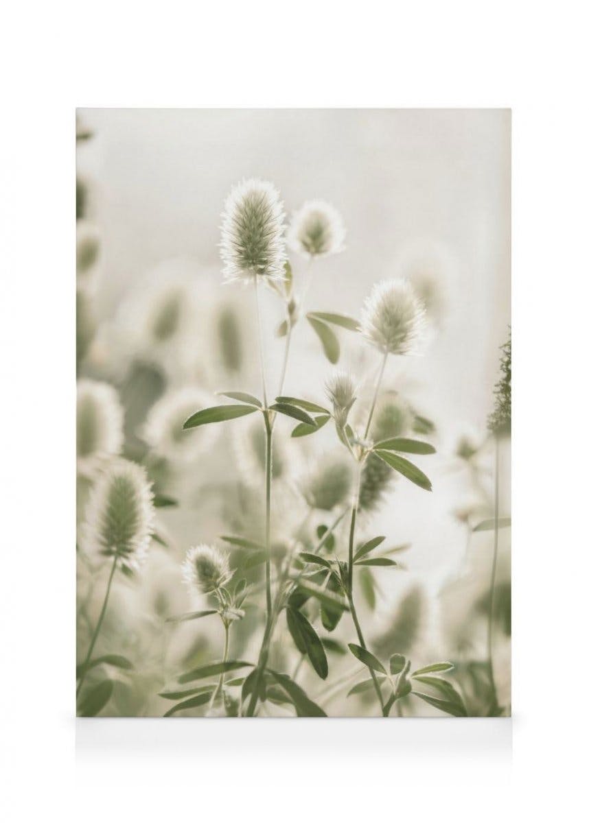 Canvas Prints - Hare's-Foot Clover Canvas print (70x100 cm) - Poster Store